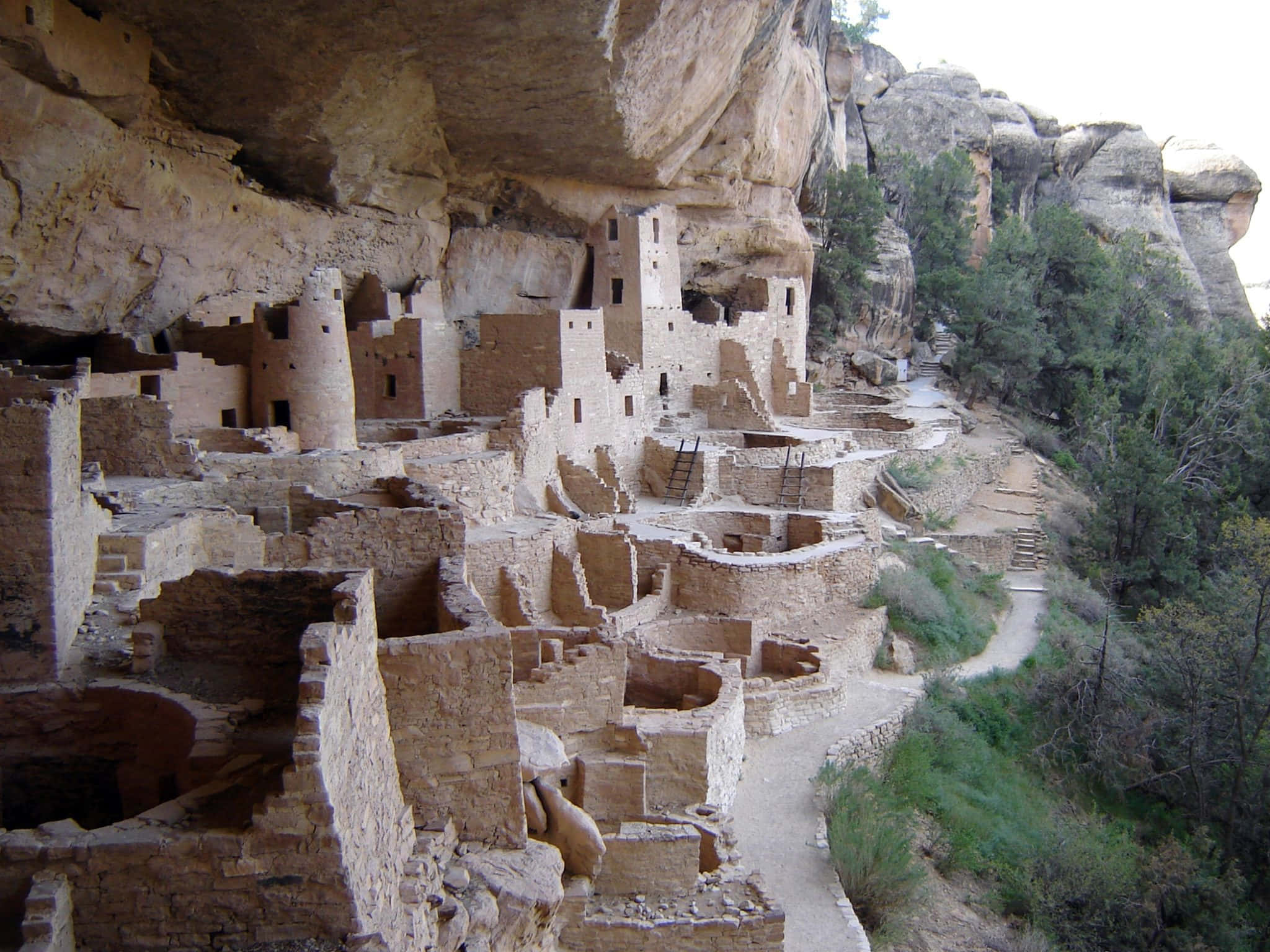 Colorado 桌布 壁紙 — 古代懸崖住宅遺址，雕刻在砂岩懸崖中，蜿蜒小徑穿過綠意。