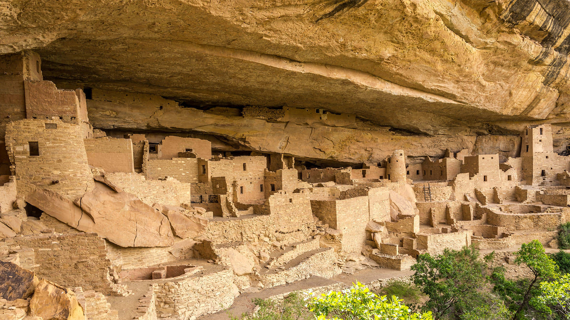 Colorado 桌布 壁紙 — 古代懸崖住所普韋布洛遺址，坐落於巨大砂岩懸崖下，底部有翠綠樹木。