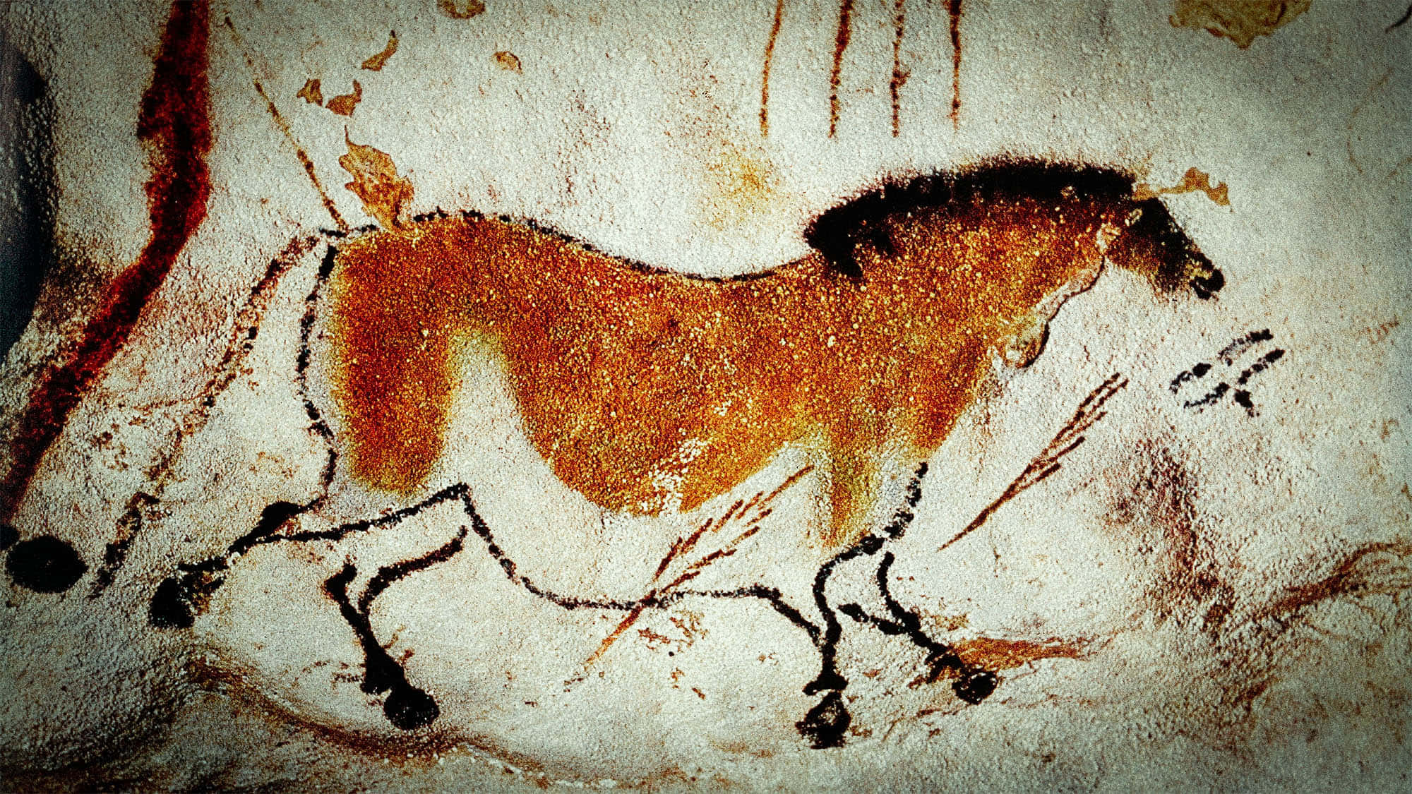Lascaux Caves 桌布 壁紙 — 古代洞穴壁畫描繪一匹帶有黑色輪廓的動態棕色馬匹在紋理岩石表面上奔馳。