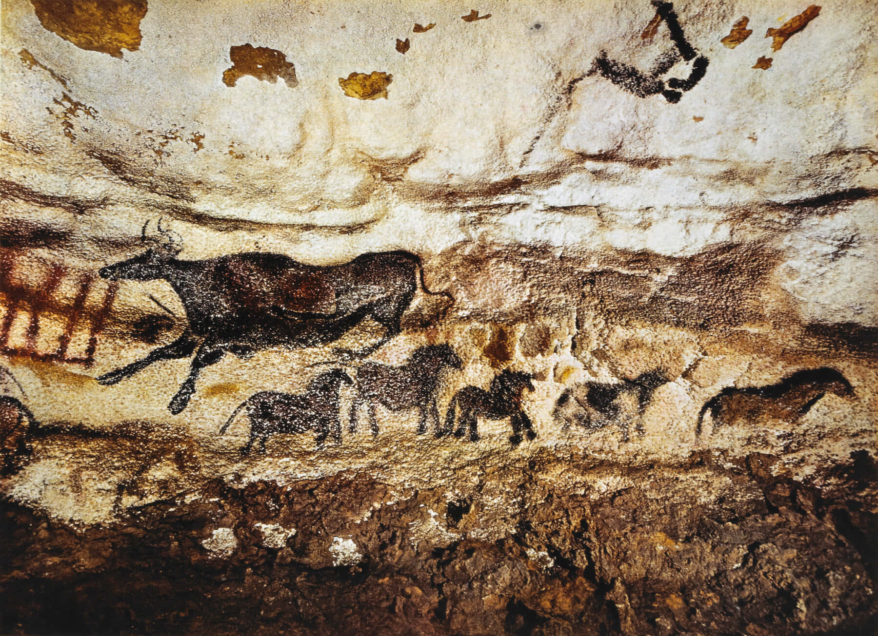 Lascaux Caves 桌布 壁紙 — 古代洞穴牆壁描繪了在紋理岩石表面上以大地色調呈現的動態野牛和馬群。