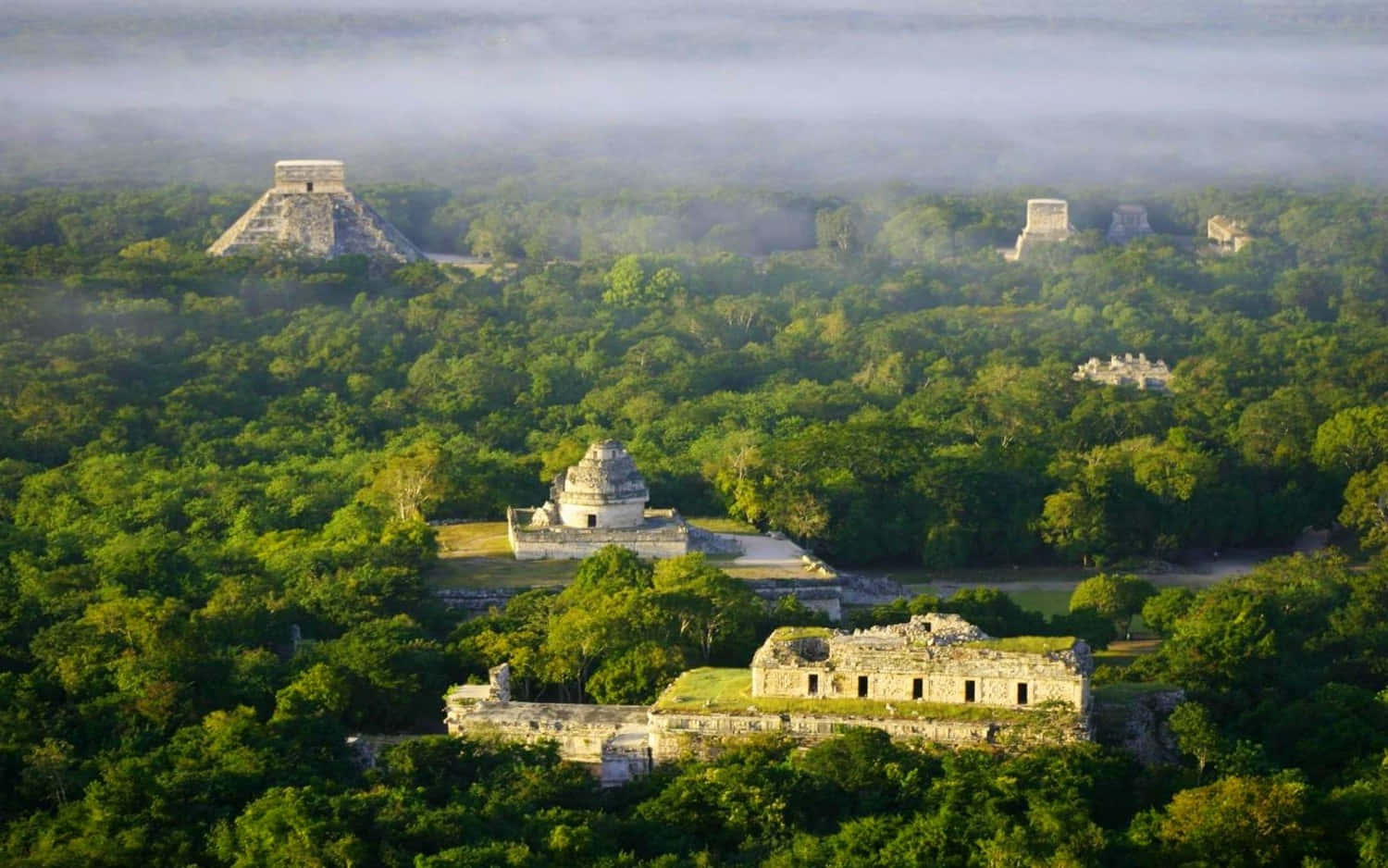 Foggy 桌布 壁紙 — 古代瑪雅金字塔和寺廟在黎明時分從茂密的叢林迷霧中浮現，金色陽光穿透而過。
