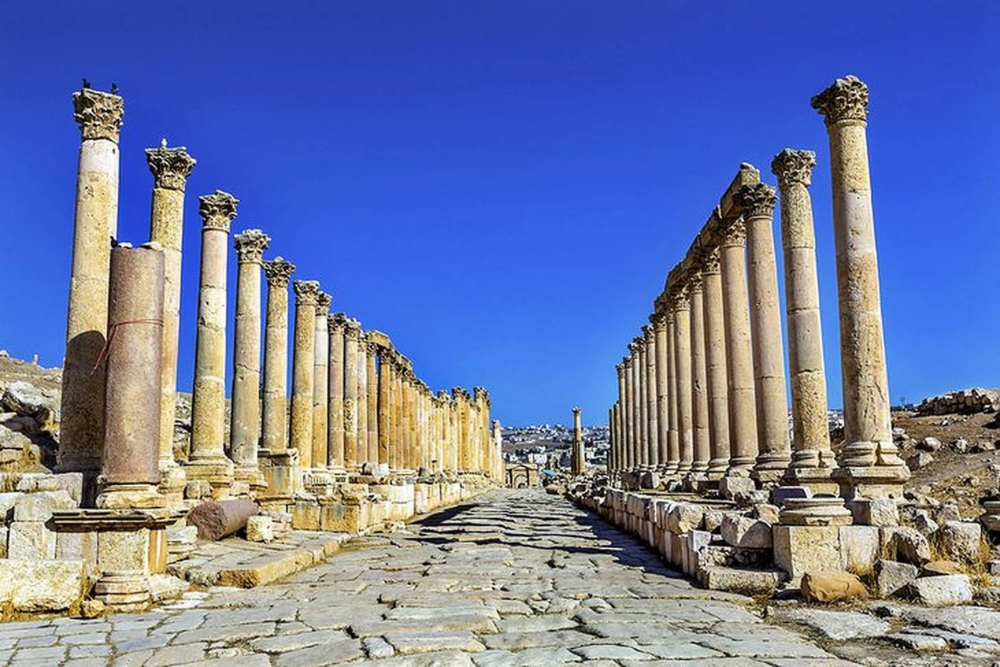 Jordan 桌布 壁紙 — 古代石柱排列在陽光普照的鵝卵石小徑上，上方是清澈的藍天，位於歷史遺跡中。