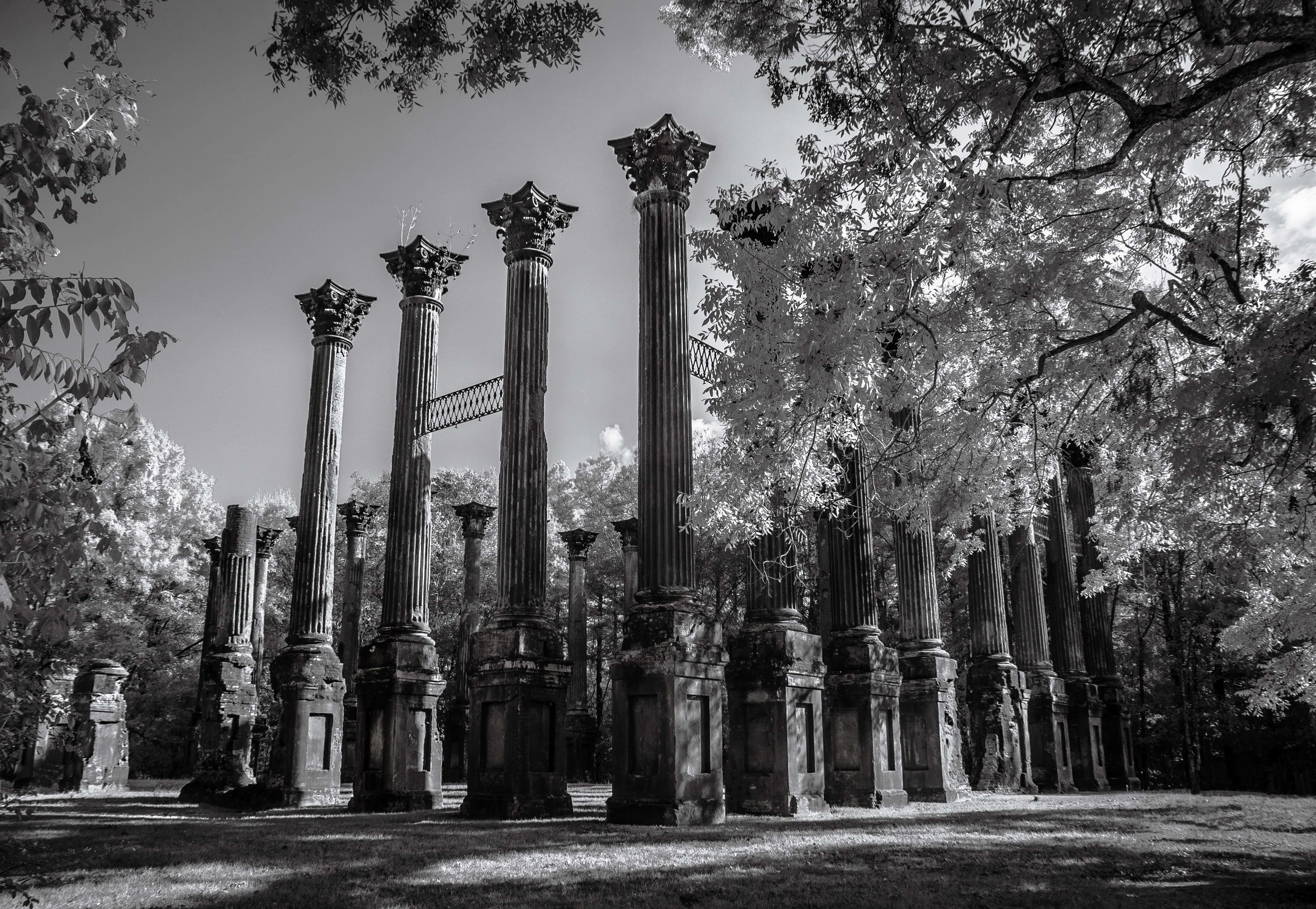 Black And White Aesthetic Pc 桌布 壁紙 — 古代石柱的黑白廢墟聳立在綠樹成蔭的樹木之間，在草地上投下斑駁的陰影。
