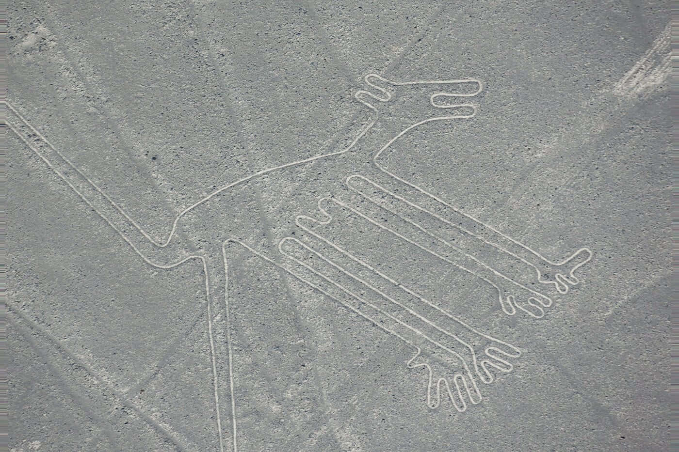 The Nazca Lines 桌布 壁紙 — 古代納斯卡線條的鳥瞰圖，描繪了一隻風格化的蜂鳥蝕刻在灰色的沙漠地形中。