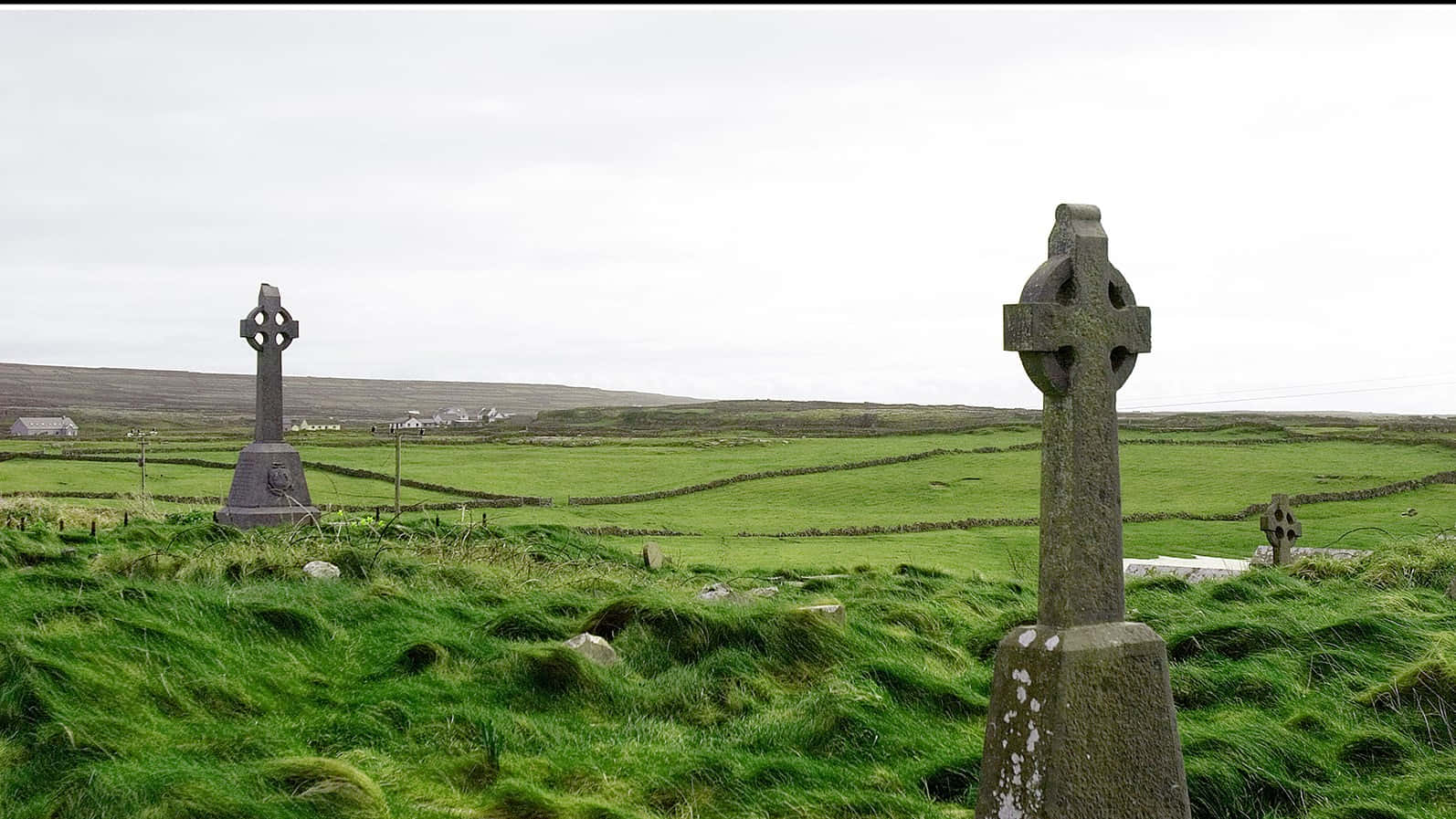 Celtic Irish 桌布 壁紙 — 古老的凱爾特十字架在陰天的風吹綠色田野中莊嚴地矗立。