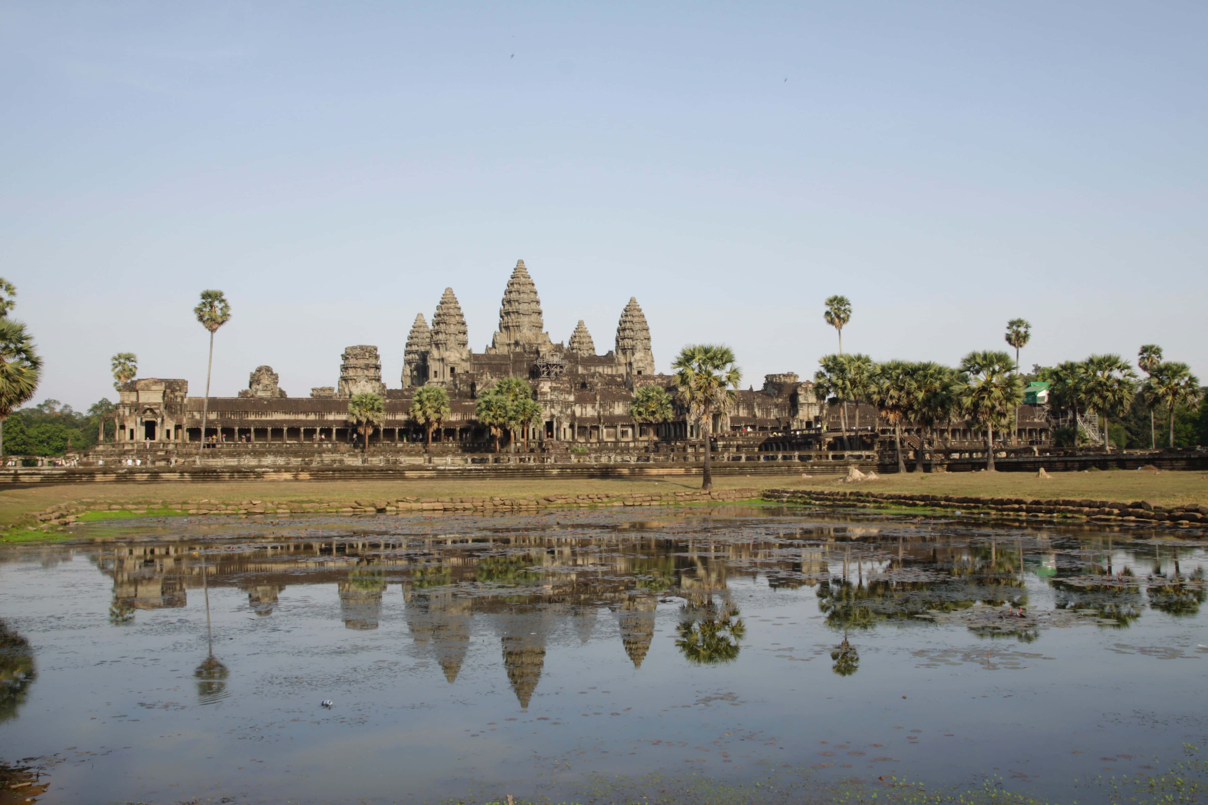 Cambodia 桌布 壁紙 — 古老的吳哥窟寺廟群在晴朗天空下，被棕櫚樹環繞的平靜池塘中寧靜地倒映著。