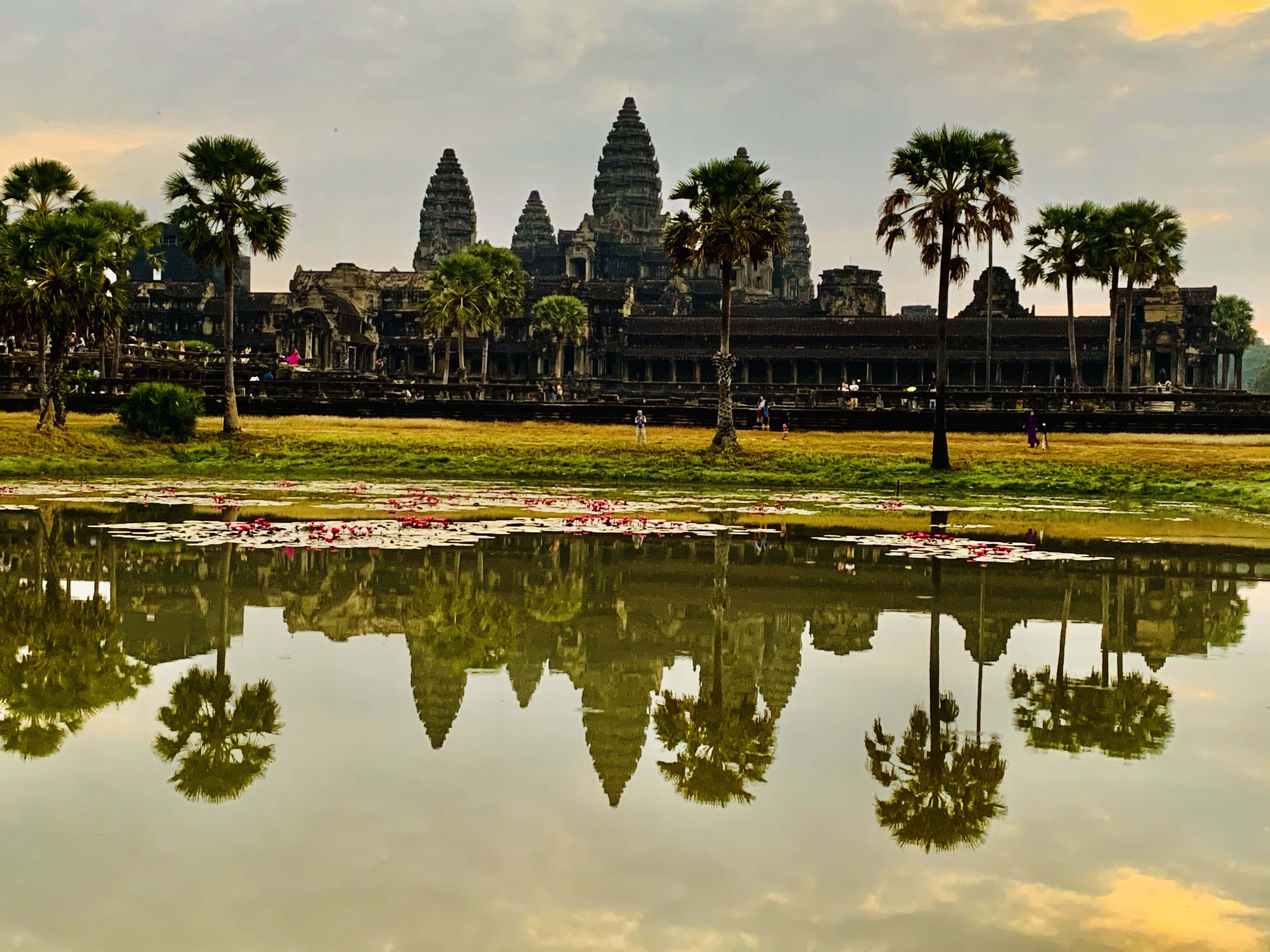 Cambodia 桌布 壁紙 — 古老的吳哥窟寺廟群在黃金時刻完美倒映在棕櫚樹環繞的平靜水面上。