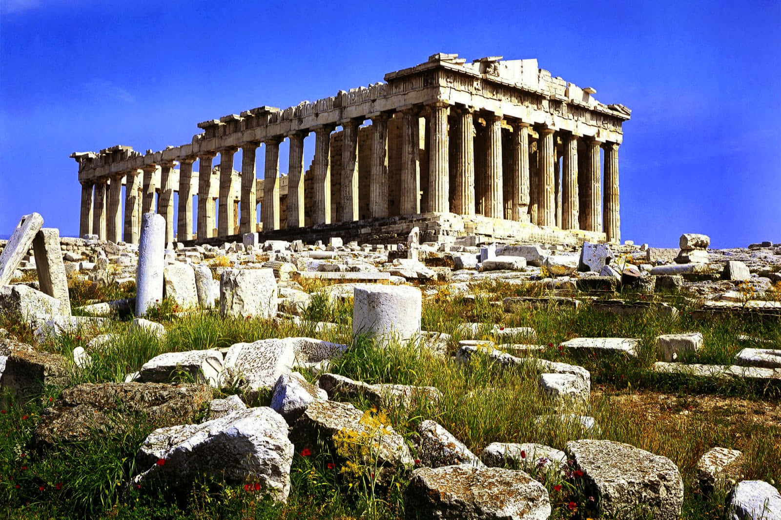 greek 桌布 壁紙 — 古老的帕德嫩神廟雄偉地矗立在山頂上，周圍散落著石頭遺跡和野草，在晴朗的藍天下。