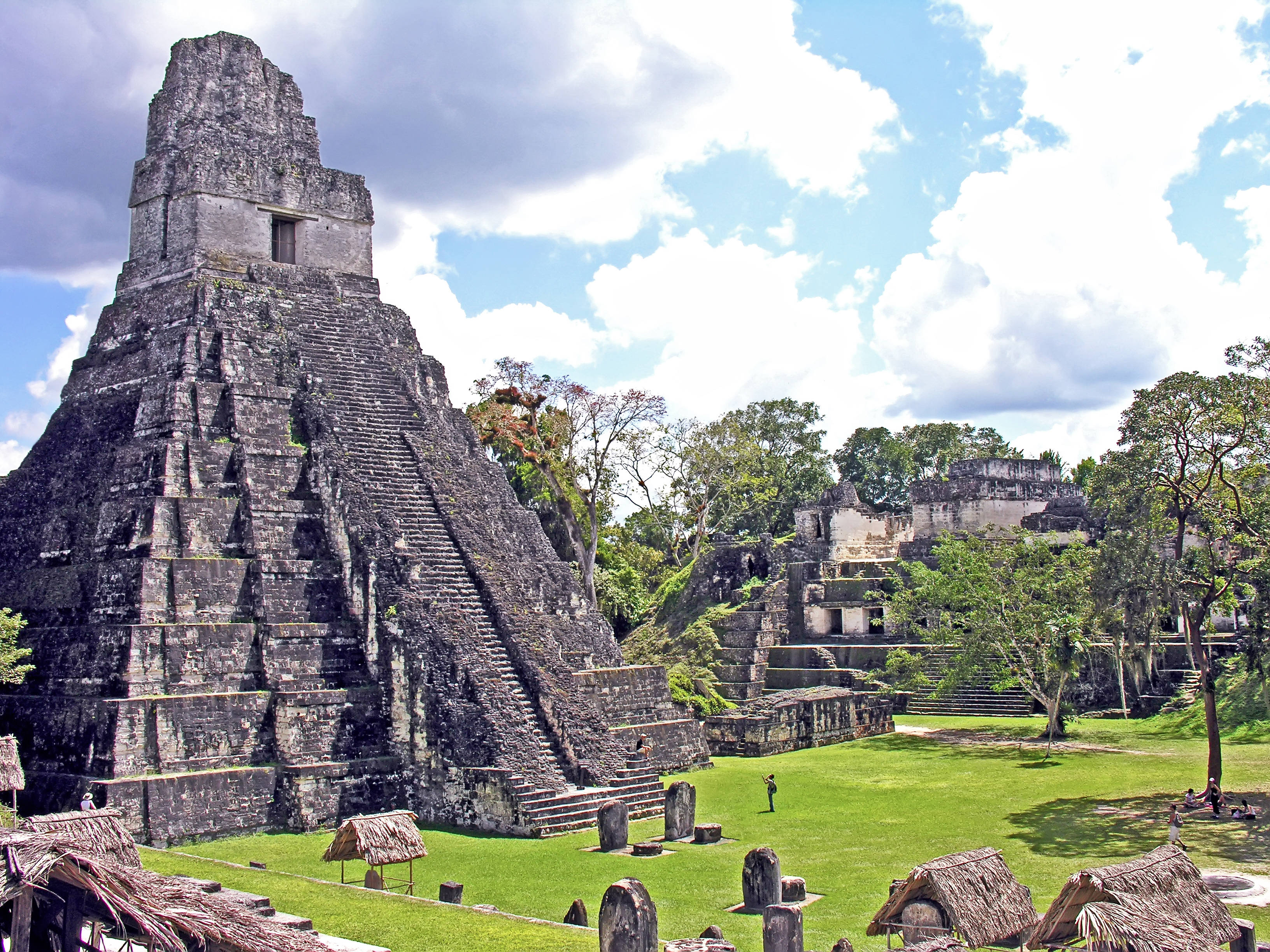 Guatemala 桌布 壁紙 — 古老的瑪雅金字塔寺廟從茂密的綠色叢林中雄偉地升起，在明亮的藍天下有蓬鬆的白雲。