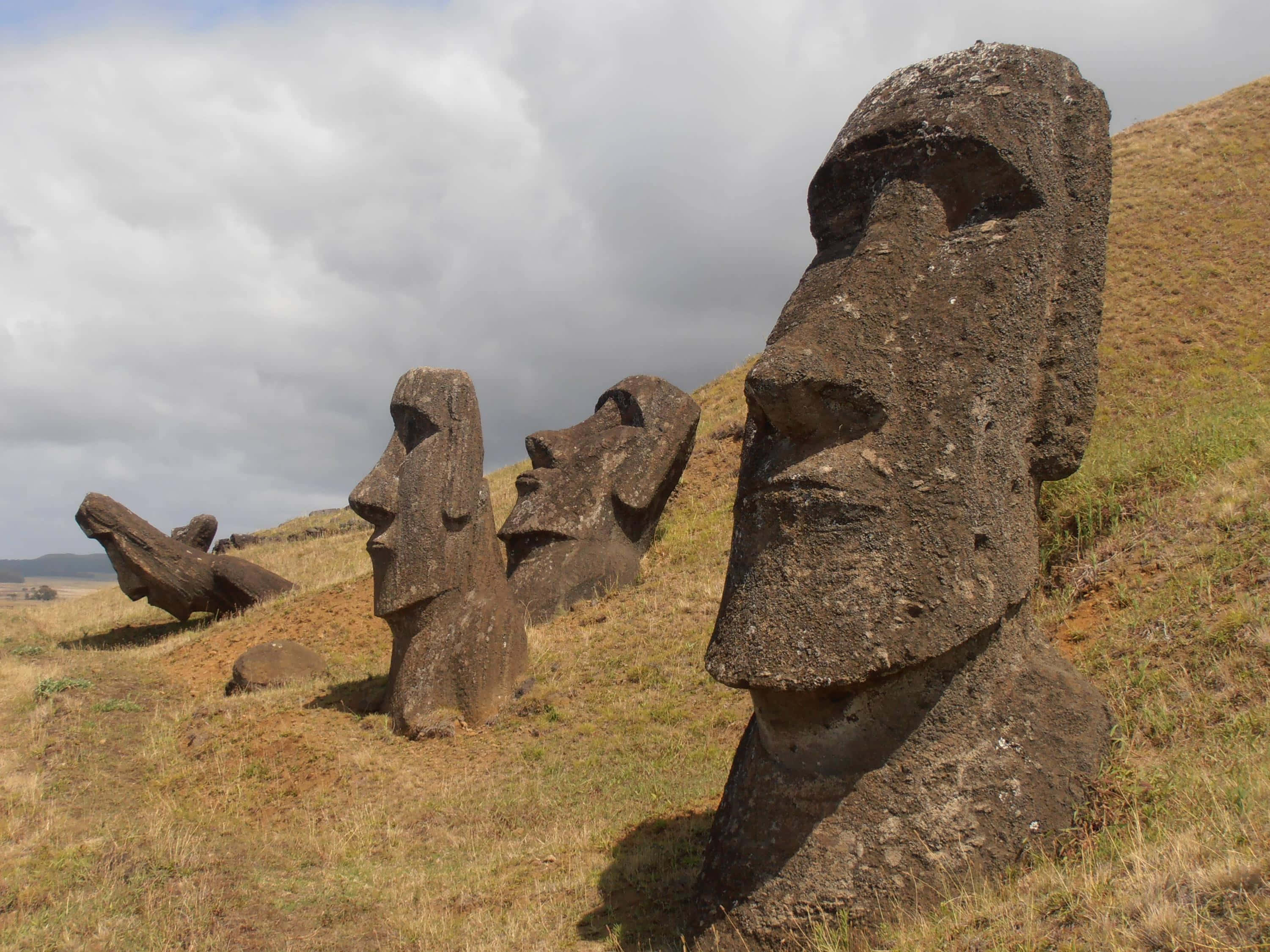 Statue Aesthetic 桌布 壁紙 — 古老的石像摩艾在復活節島上，在陰天下的草地上莊嚴地矗立。