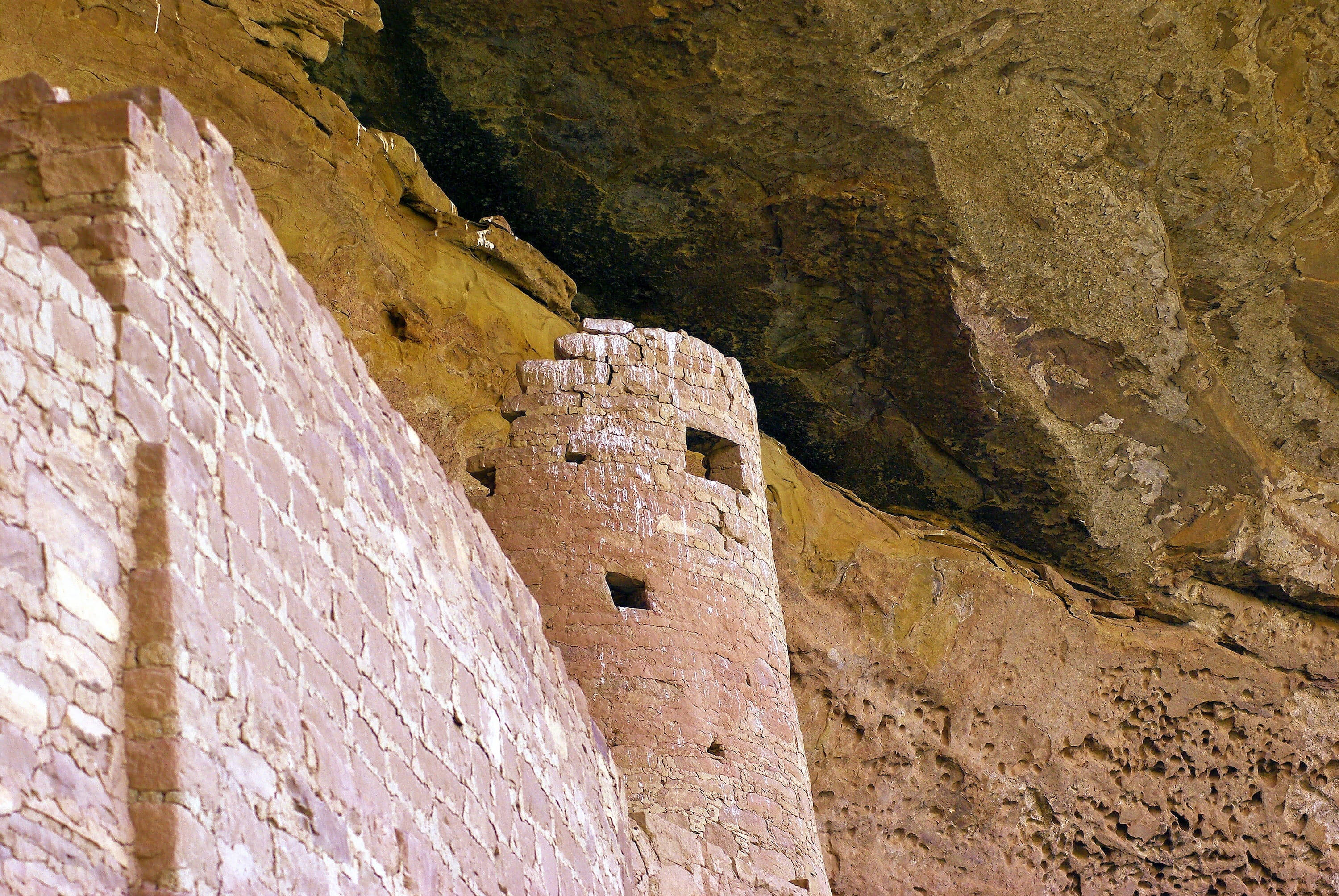 Mesa Verde 桌布 壁紙 — 古老的石崖住所，帶有圓柱形塔樓和矩形牆壁，依偎在崎嶇的峽谷壁上。