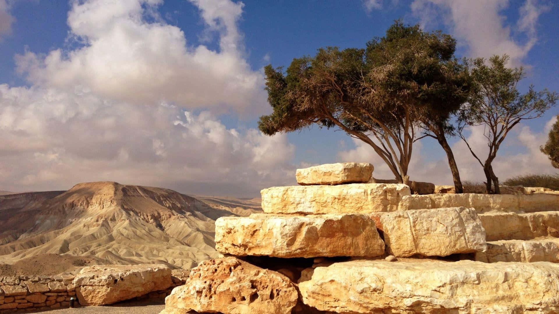 Israel 桌布 壁紙 — 古老的石頭廢墟與盤根錯節的樹木，在明亮的藍天白雲下，矗立在廣闊的沙漠峽谷中。