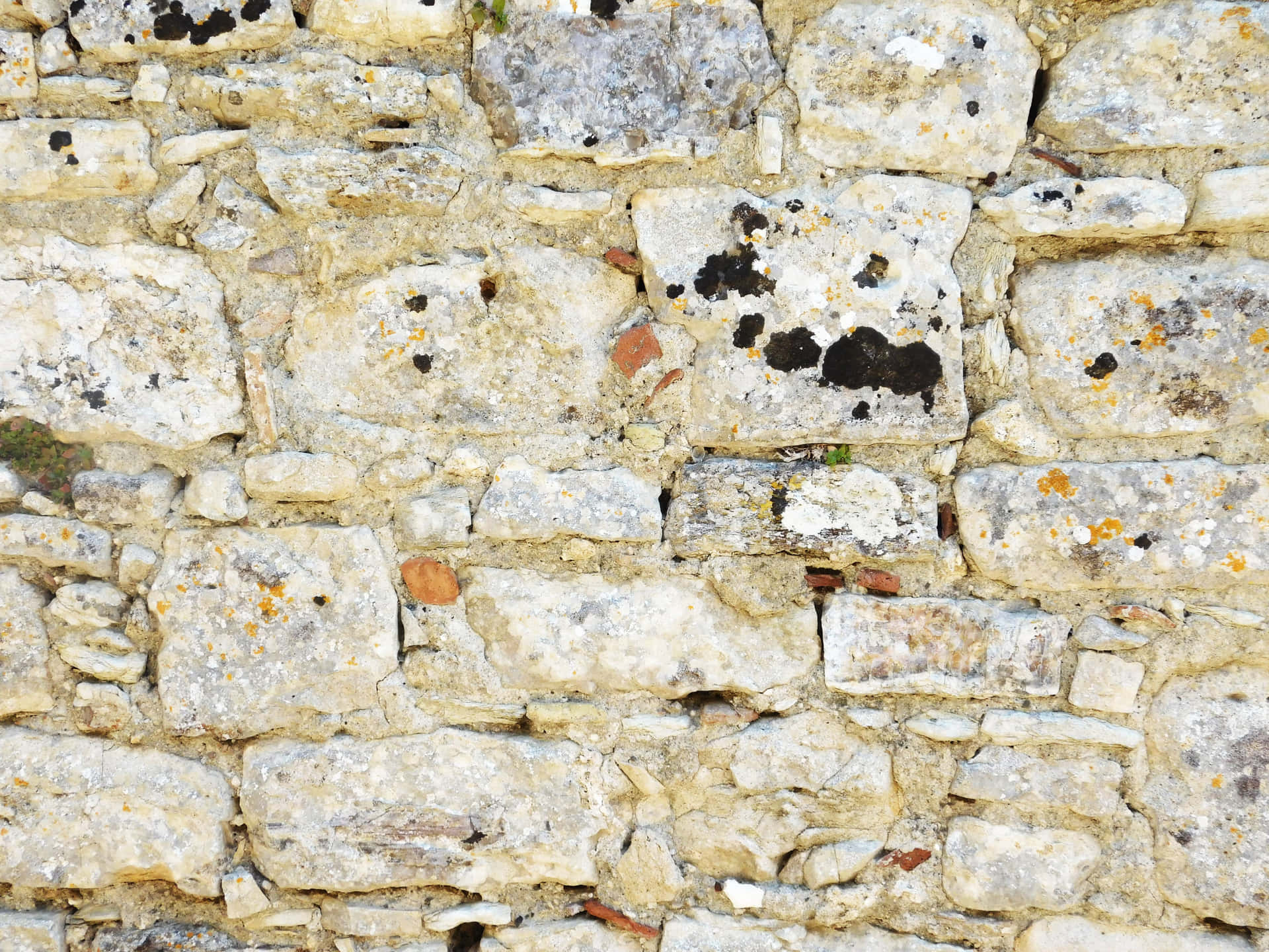 Stone texture 壁紙 — 古老石牆的特寫，帶有風化的米色石塊和黑色及橙色地衣斑塊。