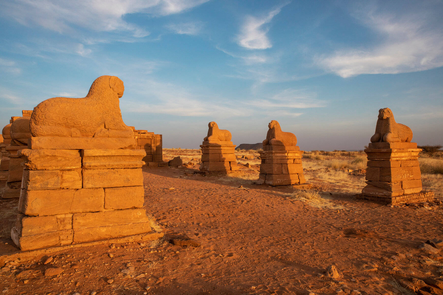 Sudan 桌布 壁紙 — 古老石獅身人面像在陽光普照的沙漠中排成一排，天空蔚藍，雲朵輕柔。