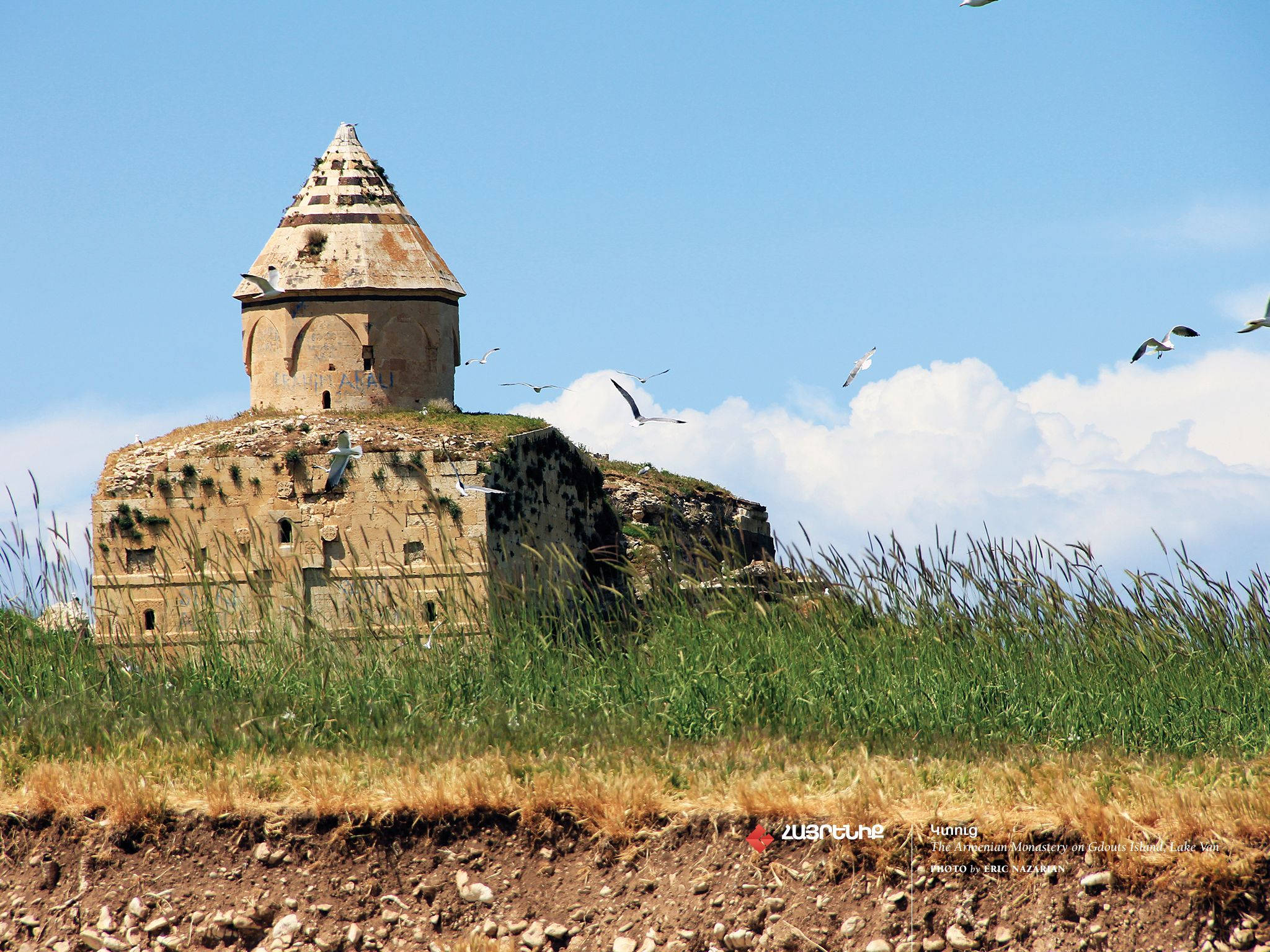 Armenia 桌布 壁紙 — 古老石砌小教堂坐落在長滿青草的山丘頂上，頭頂是明亮的藍天，海鷗在空中翱翔。