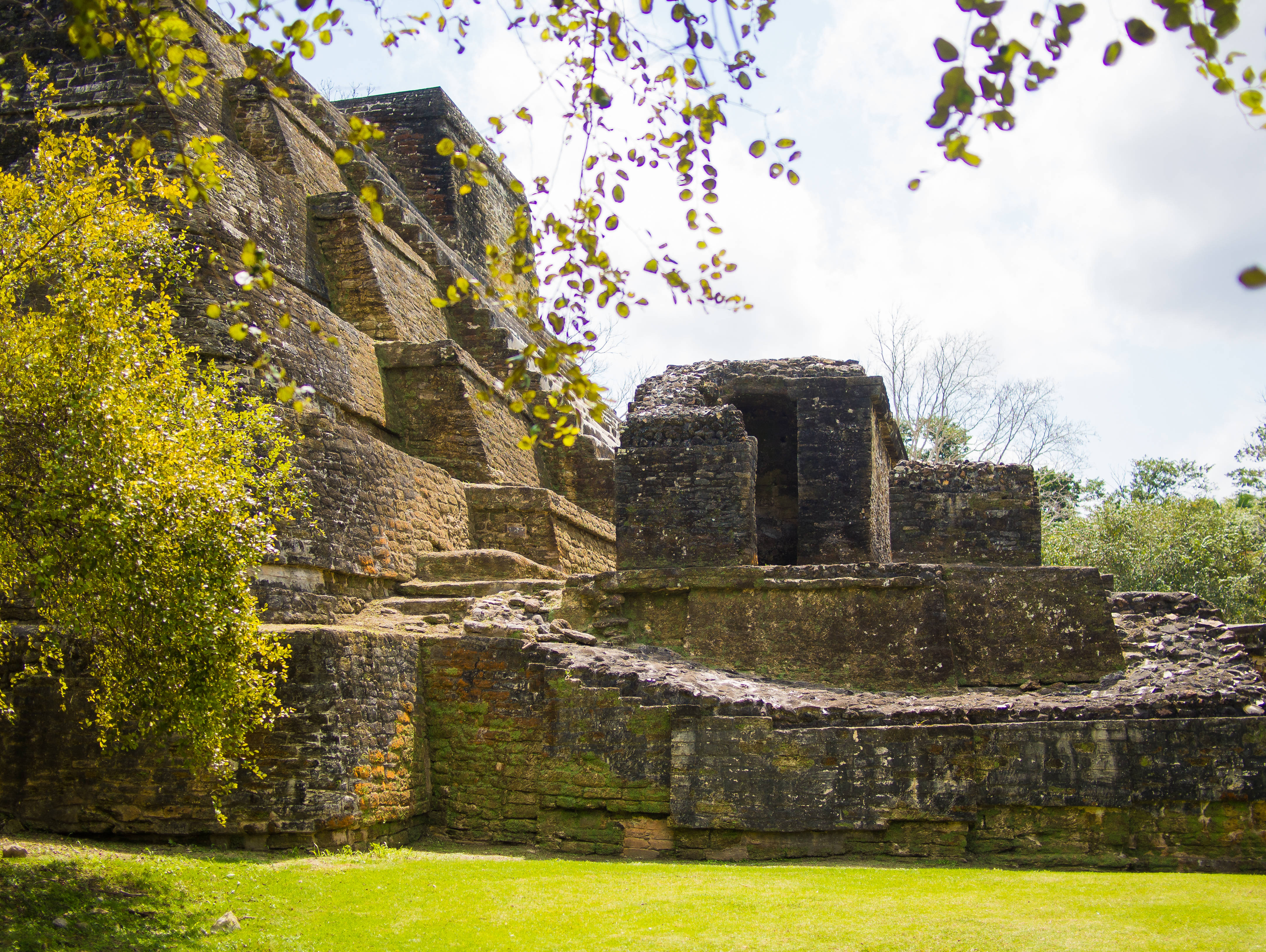 Belize 桌布 壁紙 — 古老石金字塔遺跡在翠綠草地和枝葉茂密的樹木間聳立，天空明亮。