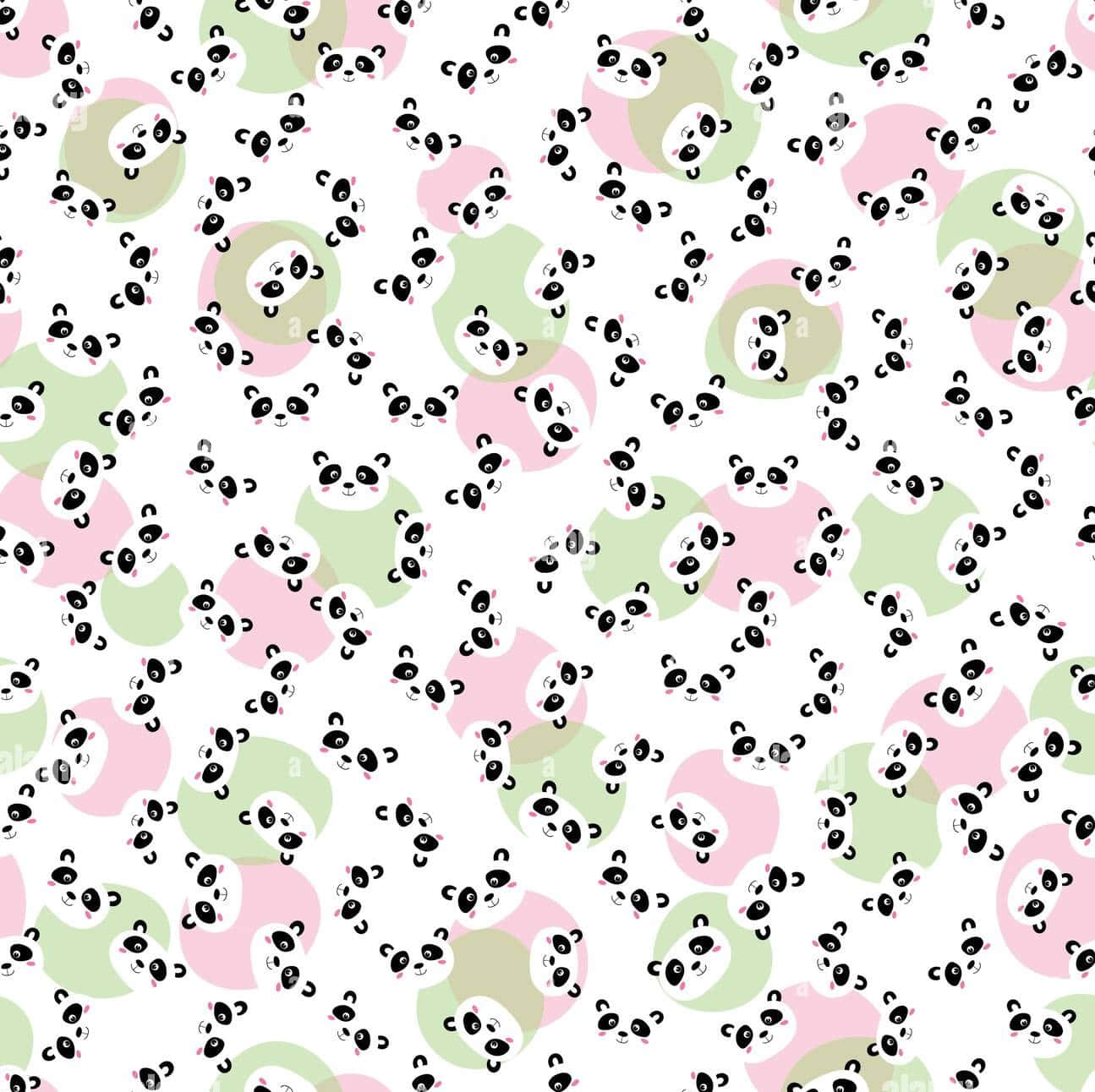 Cute Panda 桌布 壁紙 — 可愛的卡通熊貓在粉紅色和綠色圓圈中，在乾淨的白色背景上重複，形成一個有趣的圖案。