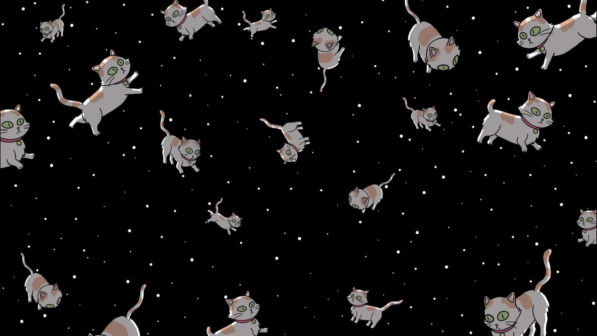 Schrodinger's Cat 桌布 壁紙 — 可愛的卡通貓咪在閃爍的星星間漂浮，構成一個奇幻的宇宙場景。
