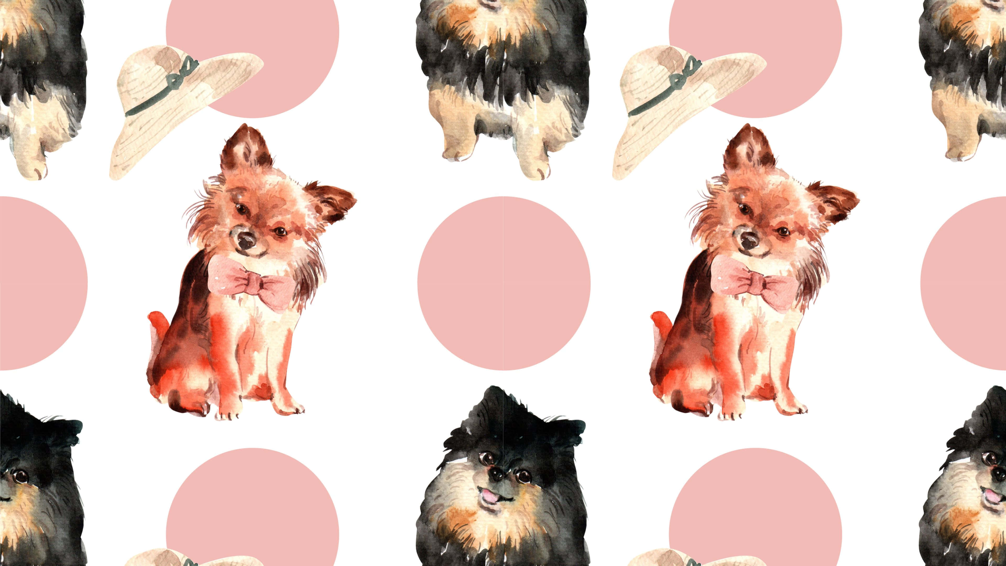 cute dogs 桌布 壁紙 — 可愛的吉娃娃和博美犬戴著蝴蝶結和帽子在粉紅色圓點上的水彩圖案。