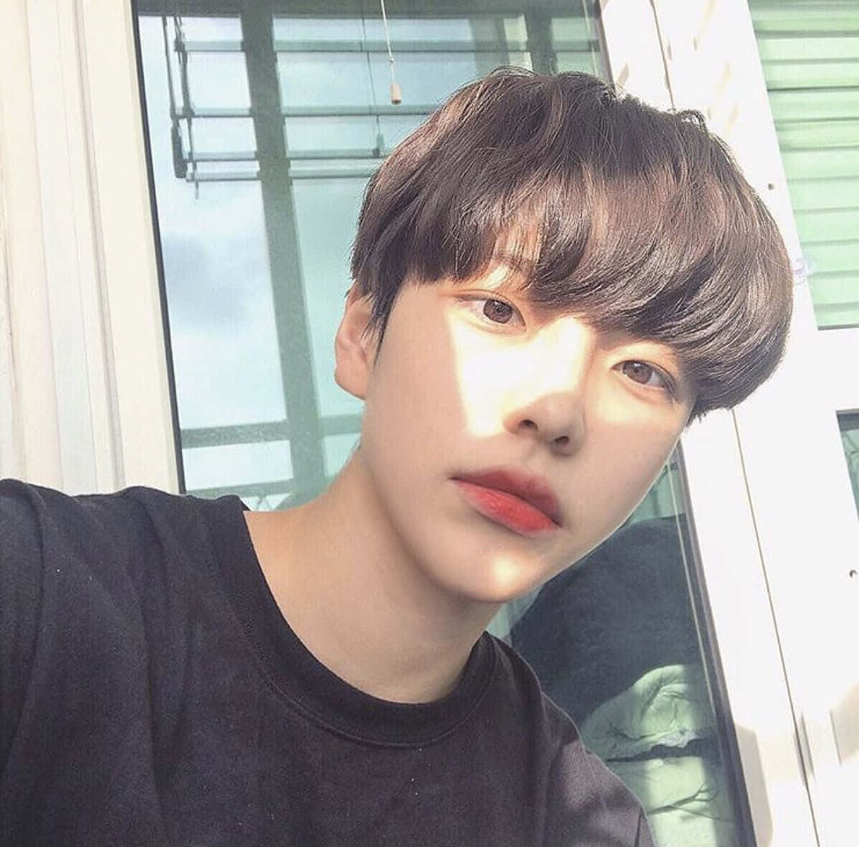 可愛的唯美圖片 壁紙