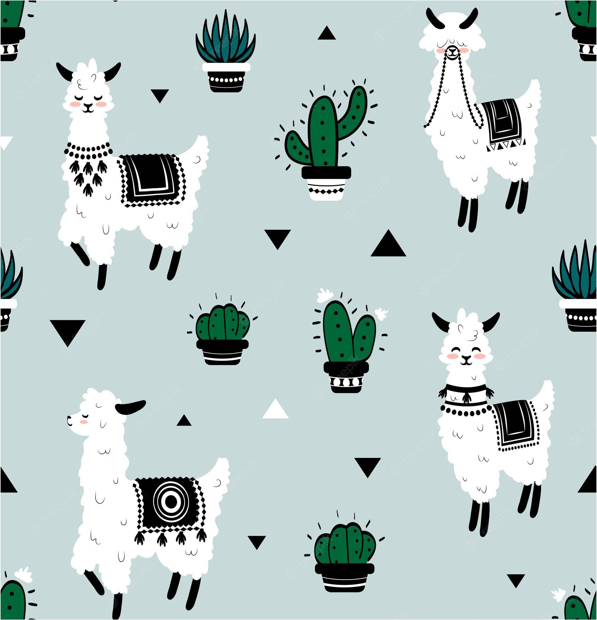 動物 桌布 壁紙 — 可愛的白色羊駝和盆栽仙人掌，帶有黑白幾何圖案，背景為柔和藍色。
