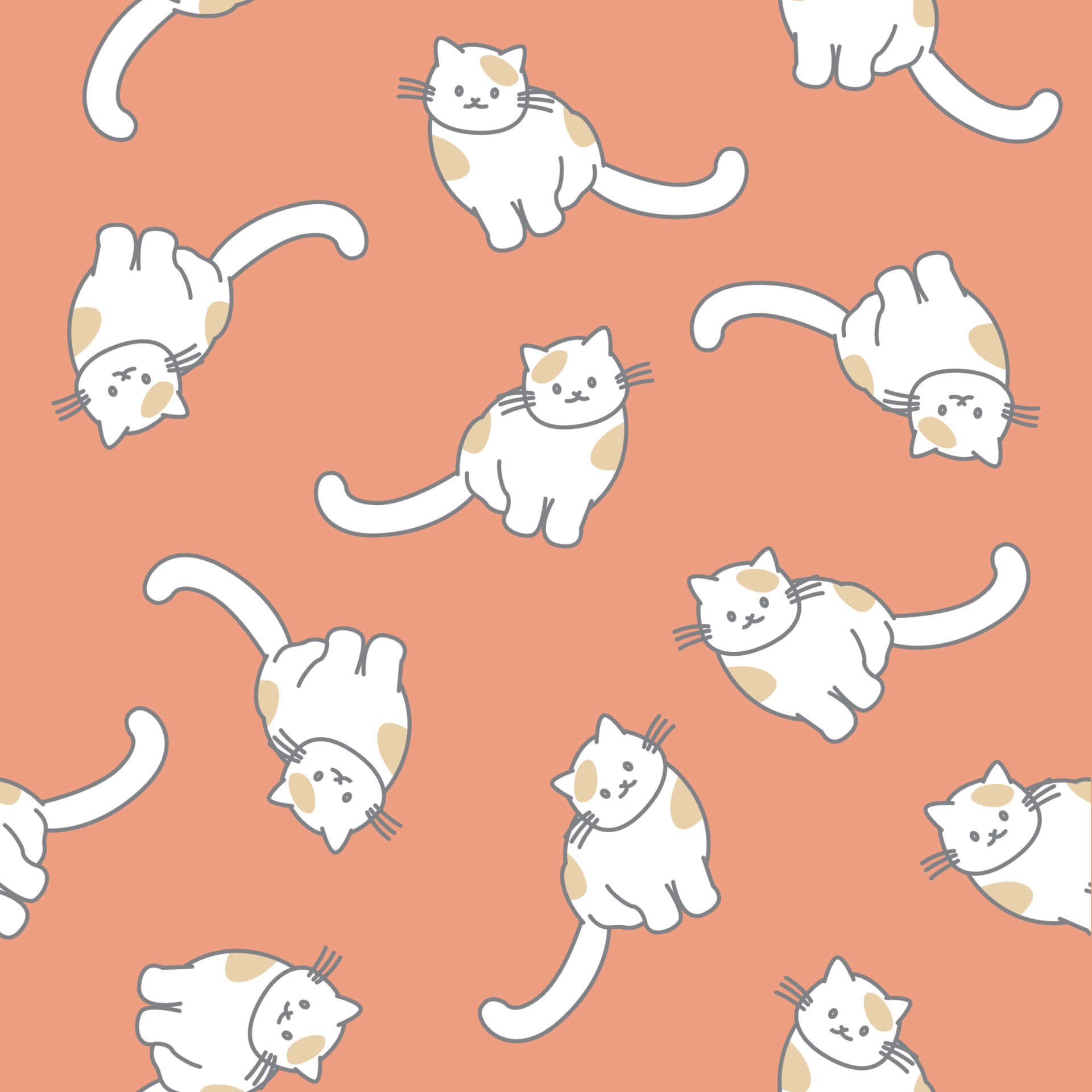Cute Cat Pattern 桌布 壁紙 — 可愛的白貓帶有棕色斑點，在溫暖的珊瑚色背景上以重複圖案頑皮地漂浮。