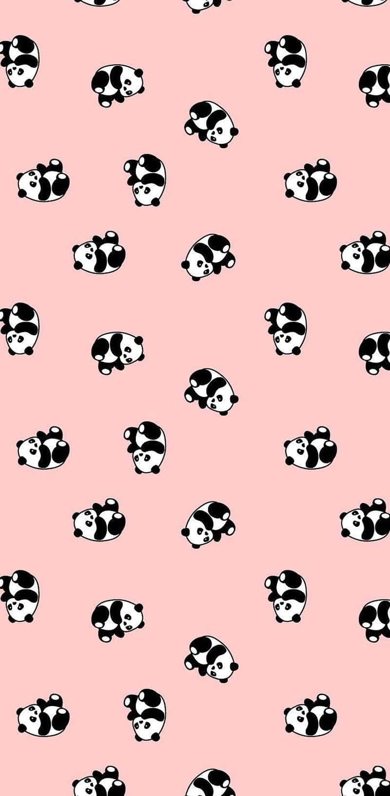 Cute Panda 桌布 壁紙 — 可愛的黑白熊貓插圖散佈在柔和的粉紅色背景上，形成俏皮的重複圖案。