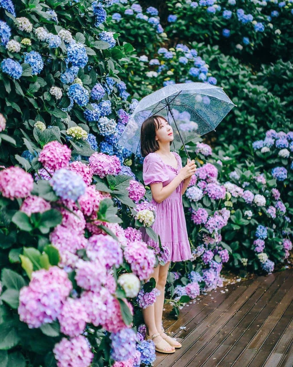 可愛美學圖片 壁紙