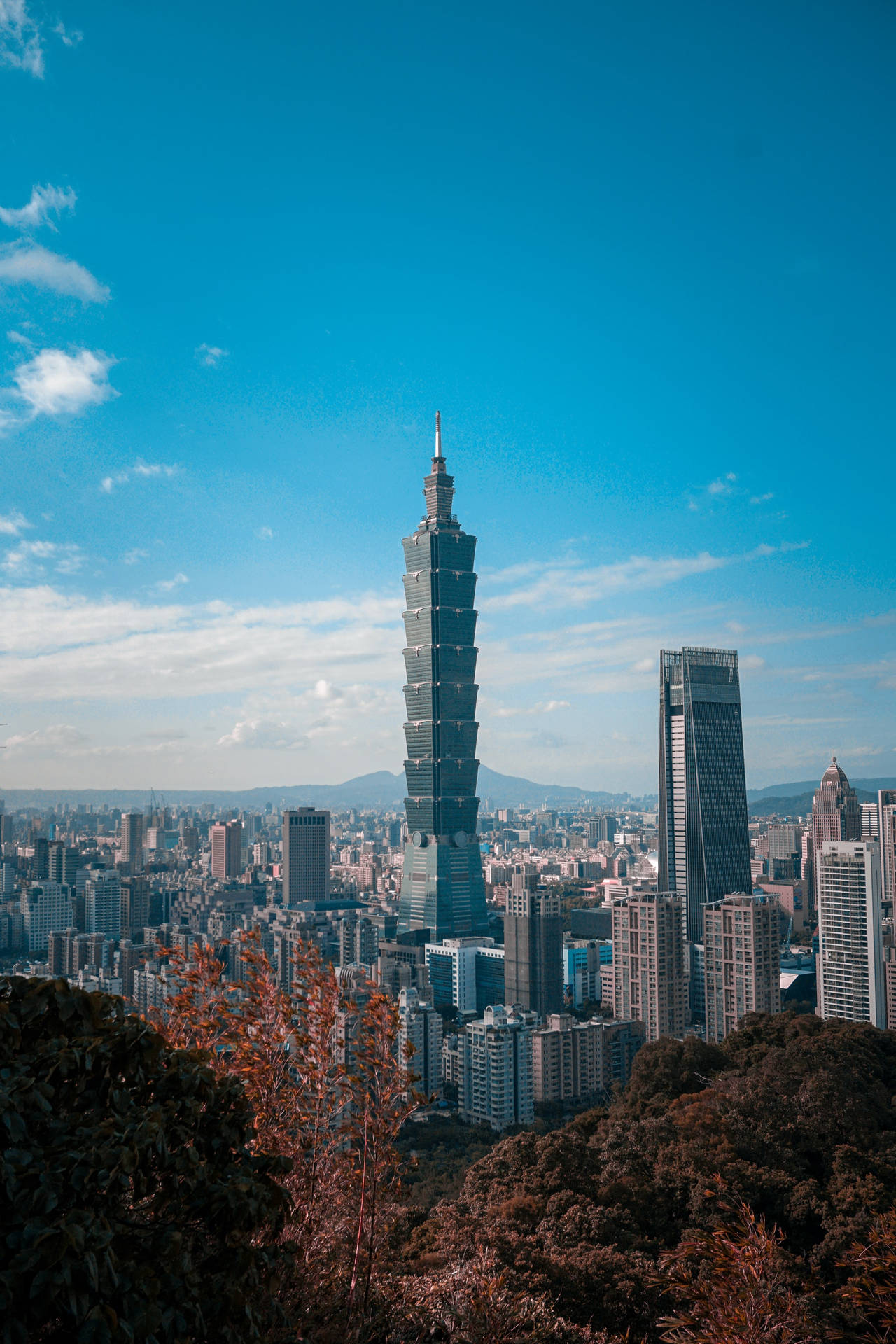 台北101塔樓聳立在密集的城市之上，前景有秋天的樹木。