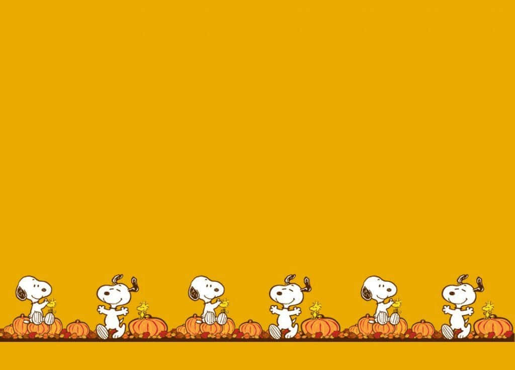 Snoopy Thanksgiving 桌布 壁紙 — 史努比和朋友們在金色黃色背景前，以南瓜擺出節日秋季姿勢。