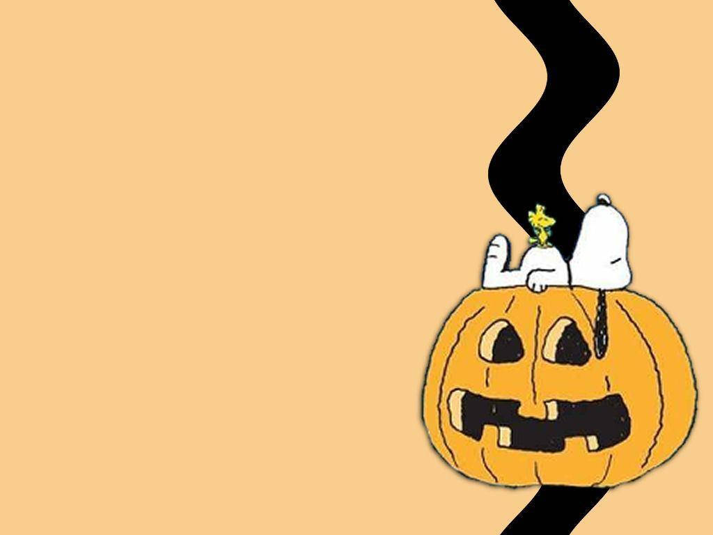 Snoopy Halloween 桌布 壁紙 — 史努比和胡士托棲息在一個微笑的傑克南瓜燈上，黑煙在純蜜桃色背景中升起。