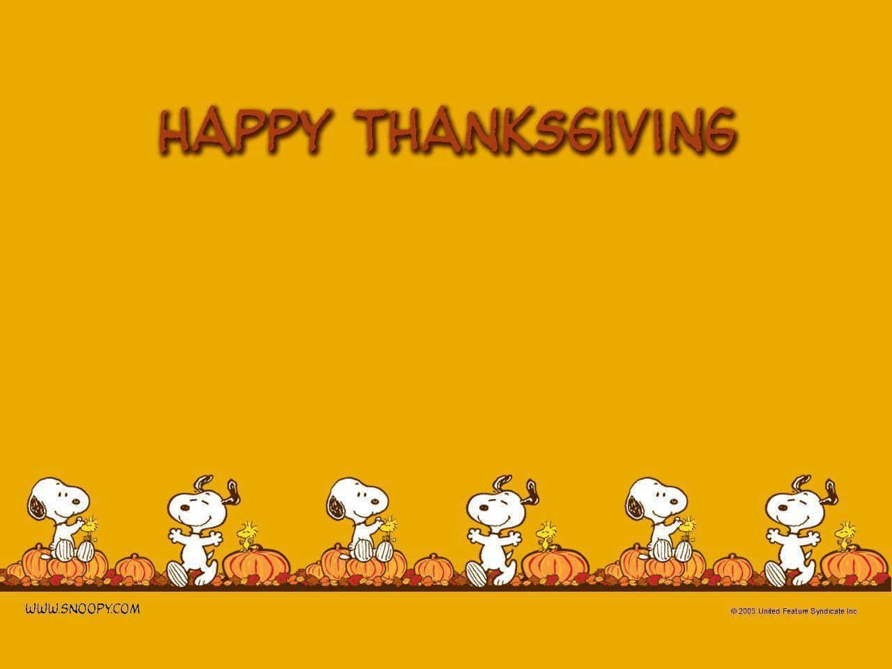 Snoopy Thanksgiving 桌布 壁紙 — 史努比和胡士托站在南瓜上，在純橙色背景上發出節日感恩節問候。