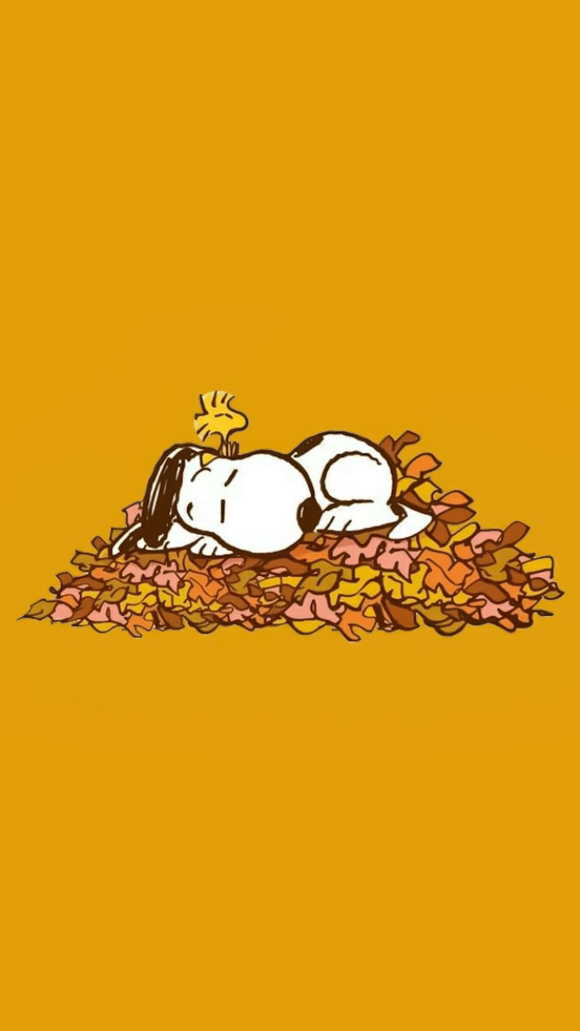 史努比在秋葉中睡覺，頭上頂著胡士托。 — 史努比 壁紙