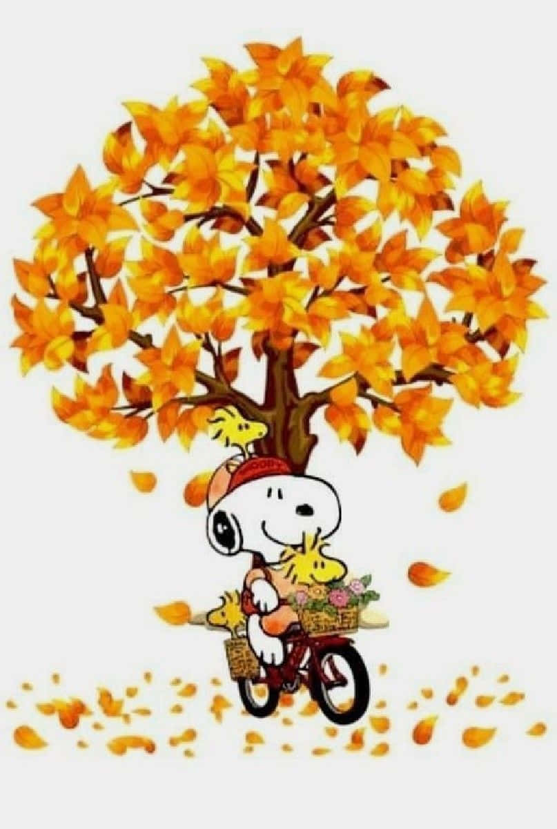 Snoopy Fall 桌布 壁紙 — 史努比在鮮豔的橙色秋樹下騎腳踏車，伍德斯托克停在他的頭上和籃子裡。