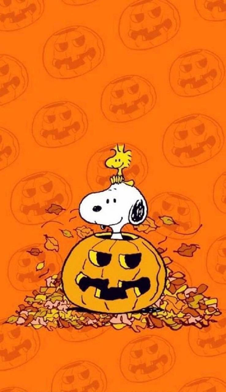 Snoopy Halloween 桌布 壁紙 — 史努比坐在一個雕刻的傑克南瓜燈上，周圍環繞著秋葉，背景是帶有南瓜圖案的橙色。