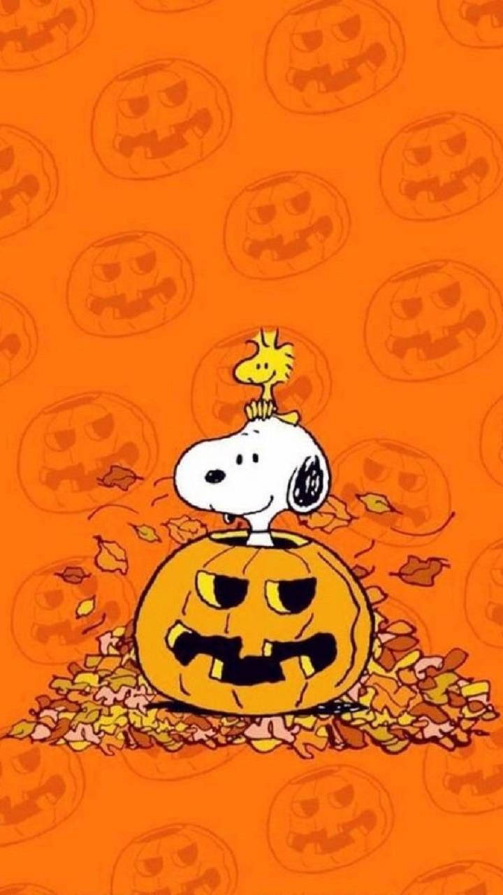 Snoopy Halloween 桌布 壁紙 — 史努比坐在一個雕刻的南瓜燈上，周圍有秋天的樹葉，橙色背景上有南瓜臉圖案。