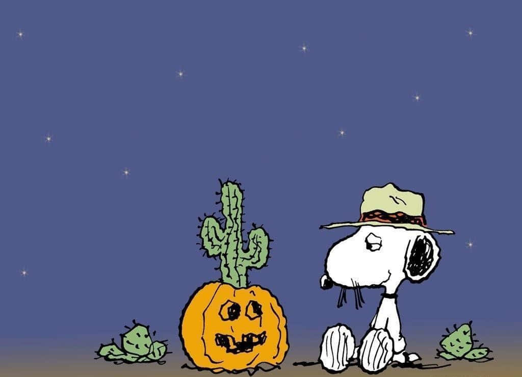Funny Halloween 桌布 壁紙 — 史努比戴著牛仔帽，坐在傑克南瓜燈仙人掌旁，背景是繁星點點的沙漠夜空。