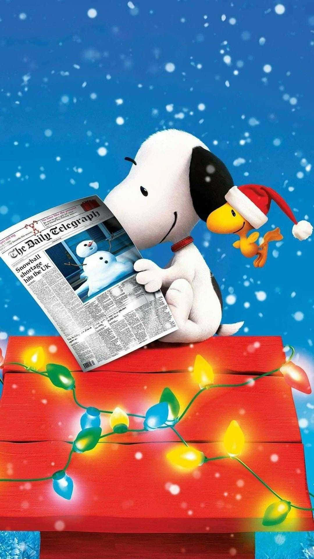 Peanuts 桌布 壁紙 — 史努比戴著聖誕帽閱讀關於雪球短缺的報紙，而胡士托在他旁邊飛翔，背景是雪白的藍天。