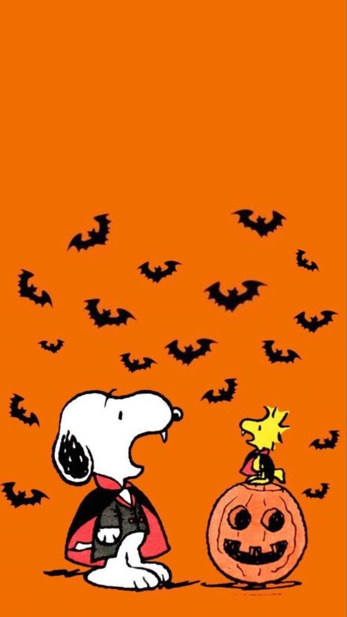 Snoopy Halloween 桌布 壁紙 — 史努比扮成吸血鬼，胡士托棲息在傑克南瓜燈上，蝙蝠在橙色背景中飛翔。