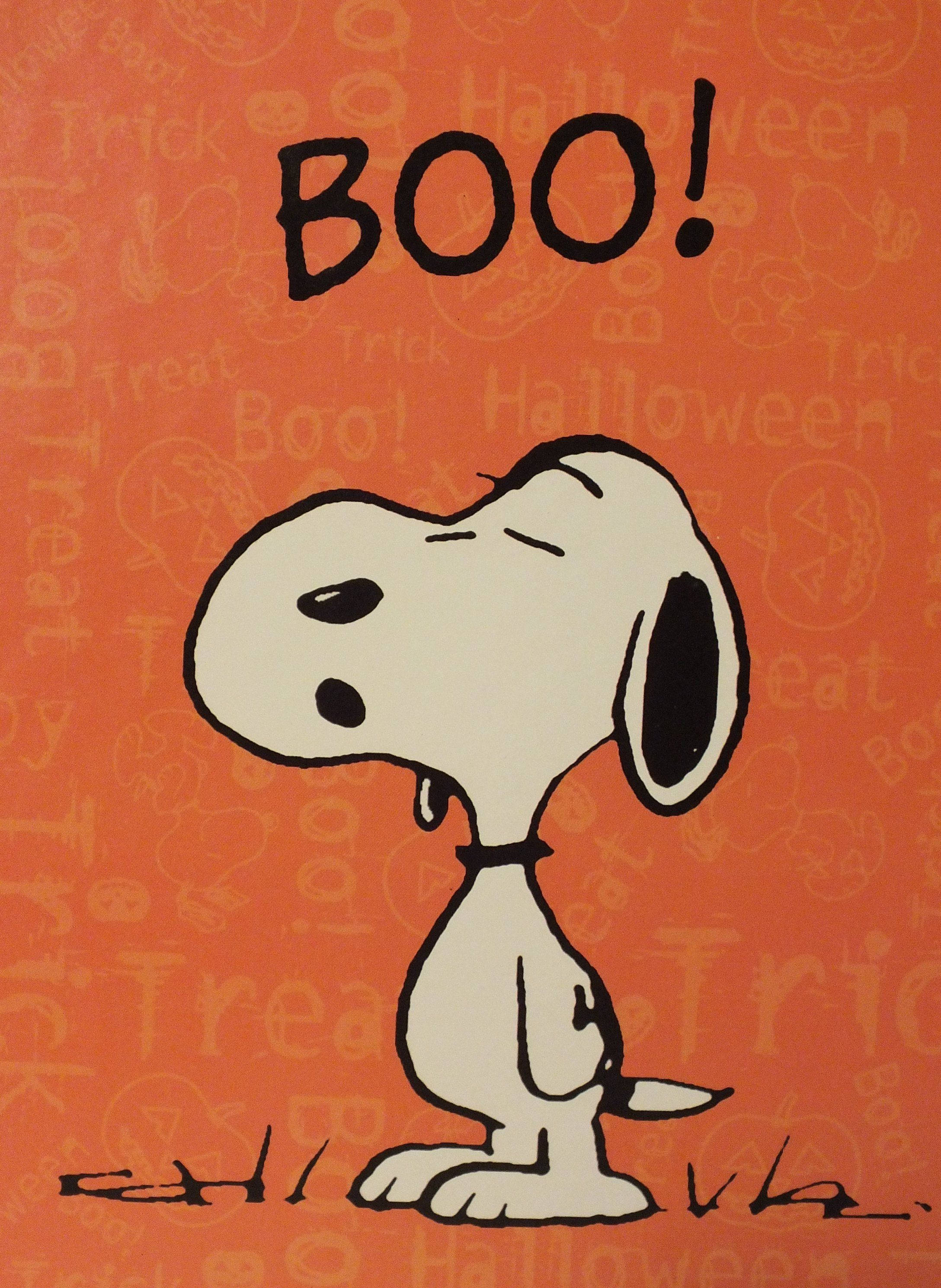 Snoopy Halloween 桌布 壁紙 — 史努比靜靜地坐在橙色萬聖節主題背景上，上方有「BOO!」文字。