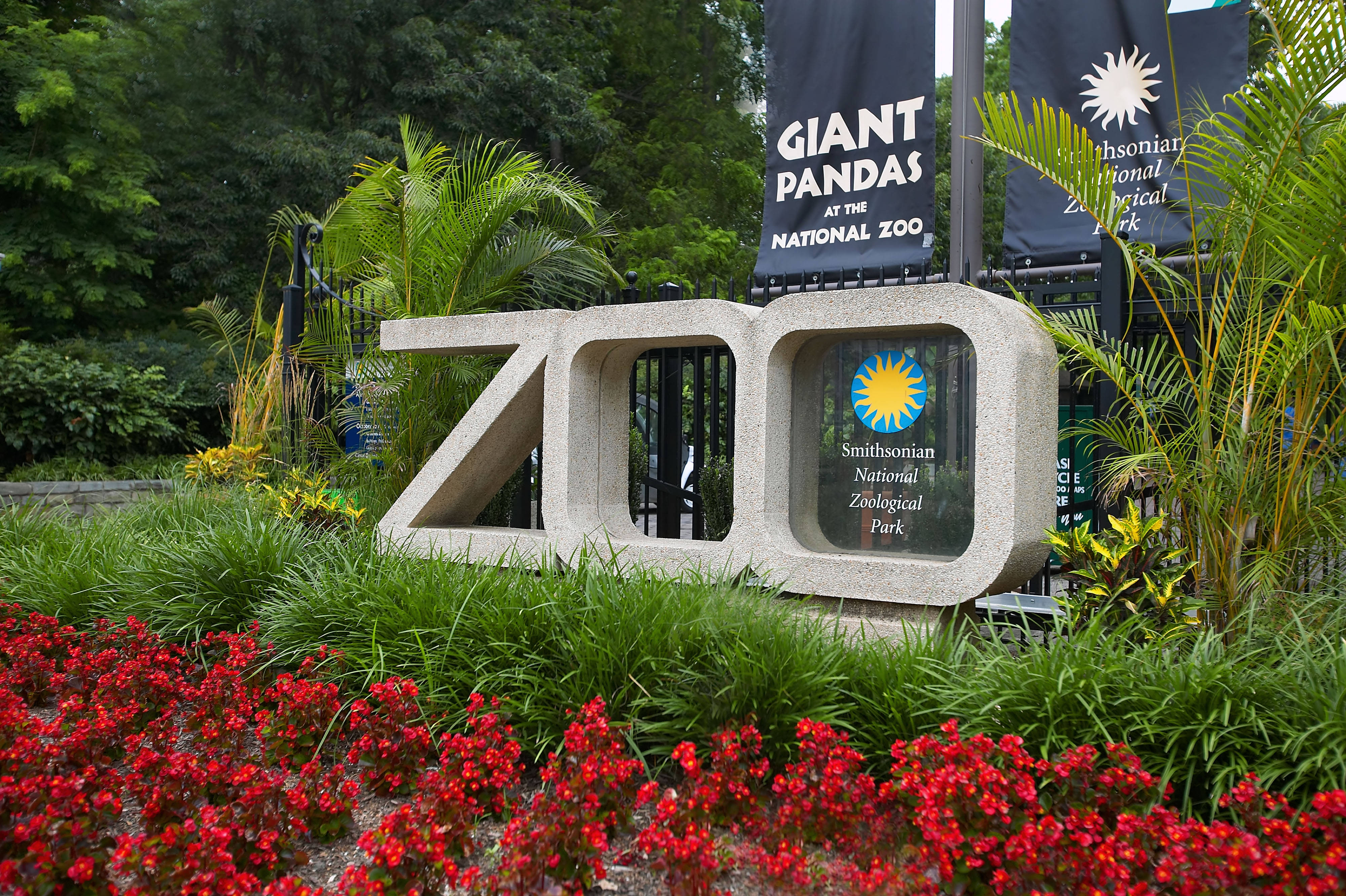 Smithsonian 桌布 壁紙 — 史密森尼國家動物園內一個大型石製ZOO標誌，周圍環繞著茂密的綠色植物和鮮豔的紅色花朵。
