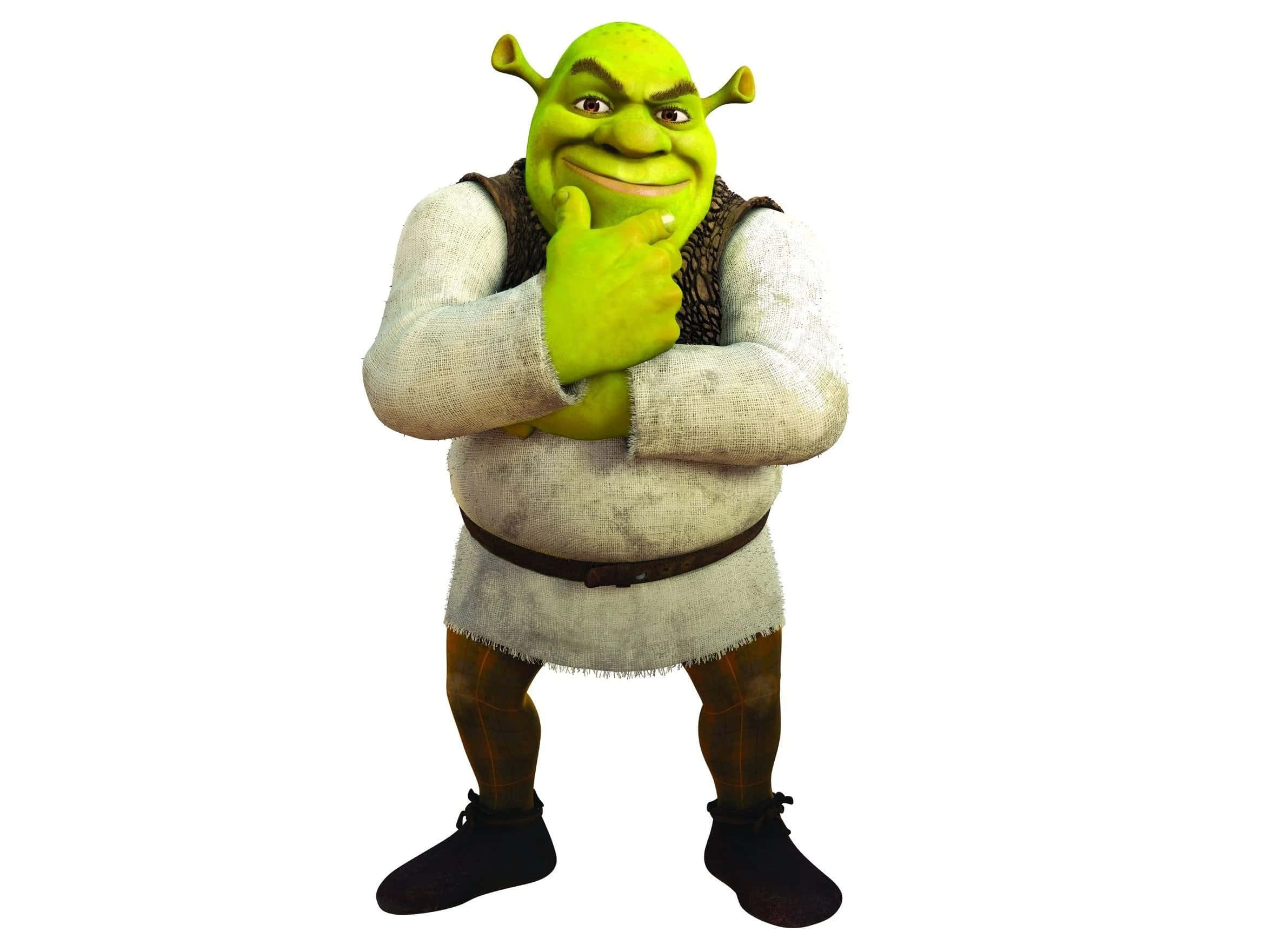 Funny Shrek 桌布 壁紙 — 史瑞克（食人魔）自信地站立，擺出沉思姿態，背景為純白色。