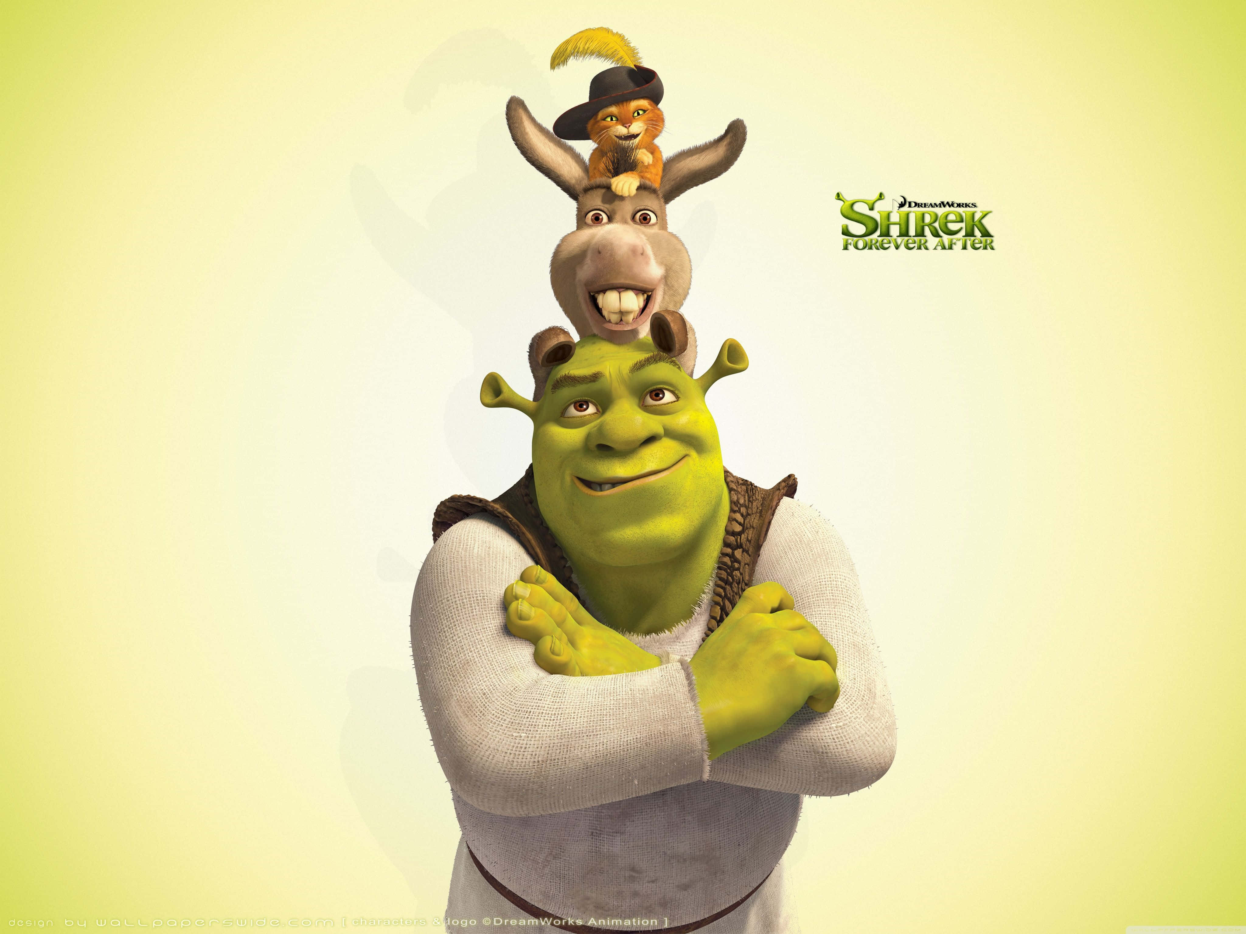 Shrek Funny 桌布 壁紙 — 史瑞克交叉雙臂微笑，驢子在頭上平衡一隻貓，背景是柔和的黃色。