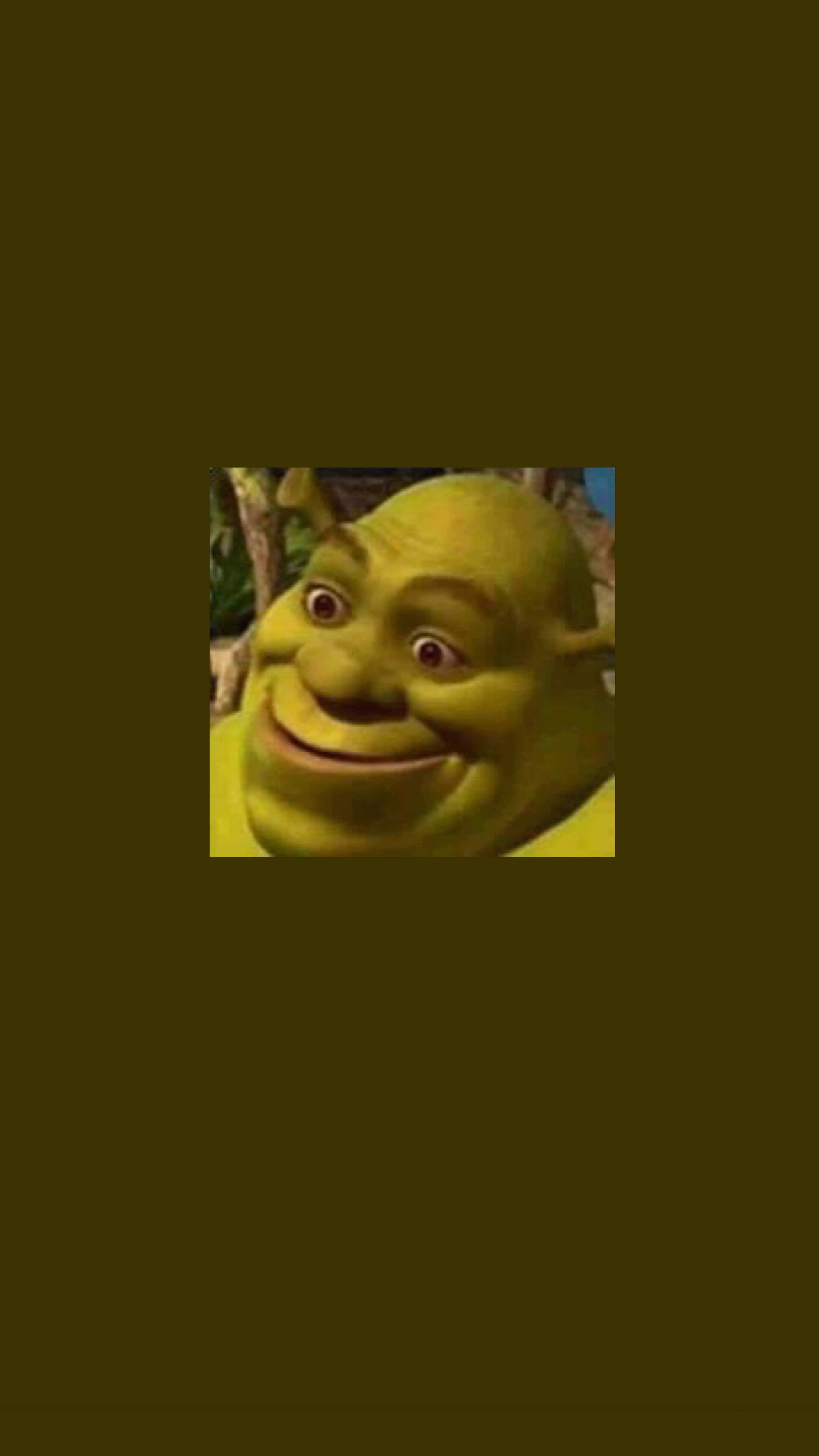Shrek Funny 桌布 壁紙 — 史瑞克快樂的綠色面孔特寫，大眼睛和燦爛笑容，背景為深棕色。