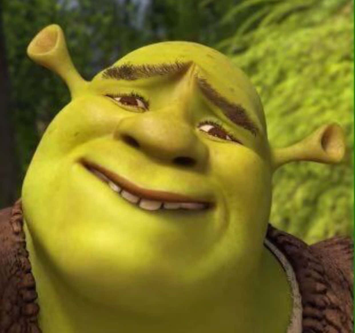 Funny Shrek 桌布 壁紙 — 史瑞克特寫，綠色皮膚和尖耳朵，在模糊的森林背景下溫暖微笑。