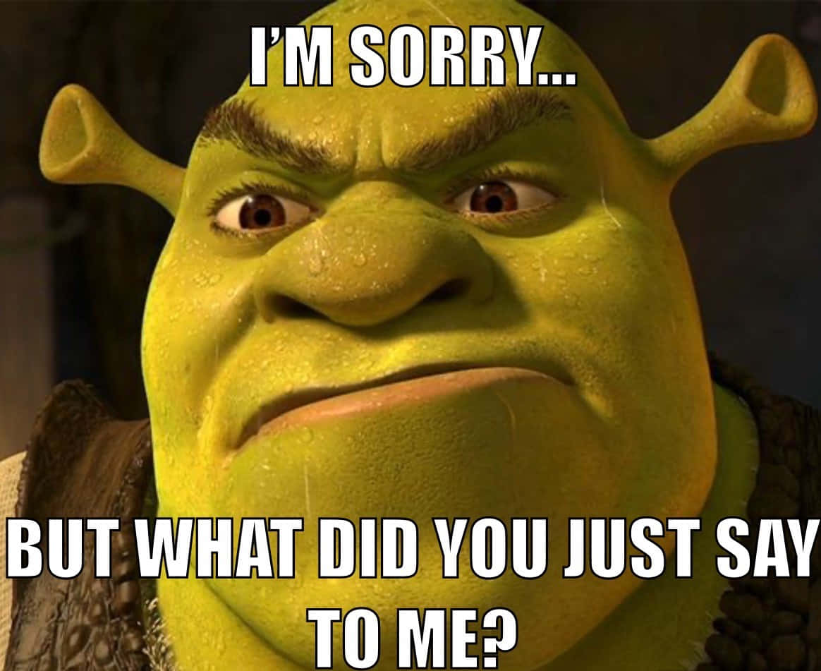 Funny Shrek 桌布 壁紙 — 史瑞克的憤怒面孔，帶有汗滴和文字說「對不起...但你剛才對我說什麼？」