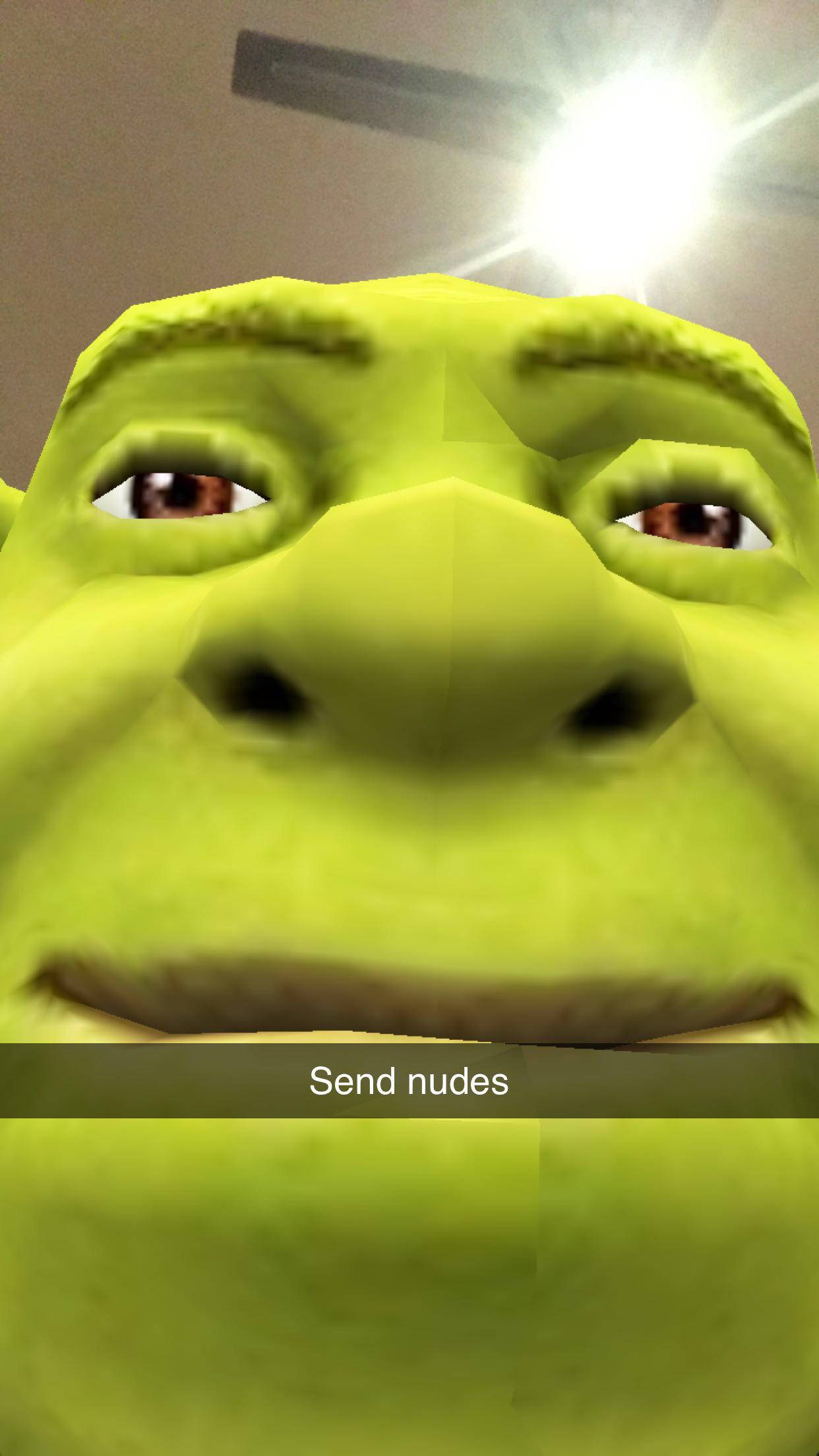 史瑞克 桌布 壁紙 — 史瑞克綠色臉部特寫，帶有Snapchat 'Send nudes' 濾鏡覆蓋層。