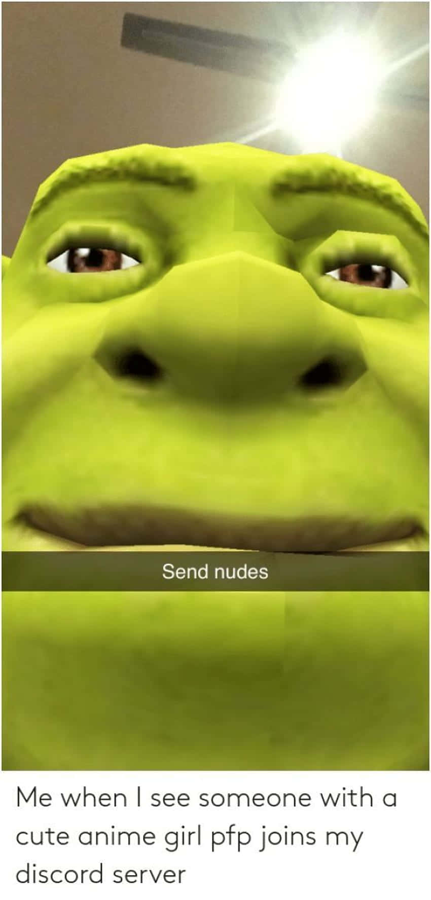 Funny Meme Profile 桌布 壁紙 — 史瑞克綠色臉部的特寫，帶有 'Send nudes' 迷因覆蓋層，在 Discord 情境中。