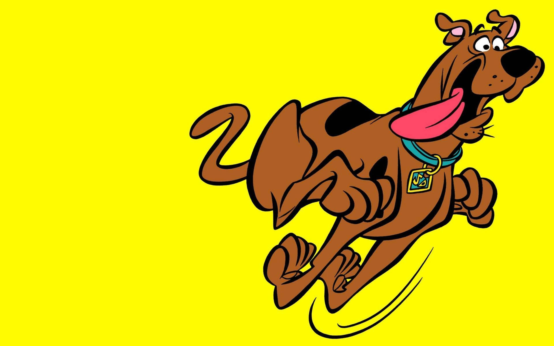 Scooby 桌布 壁紙 — 史酷比卡通狗在明亮的黃色背景上開心地伸出舌頭奔跑。