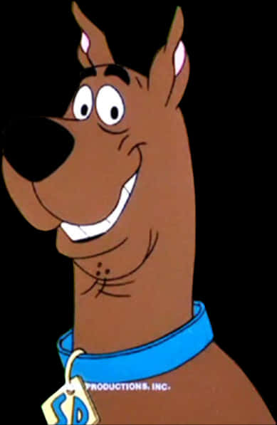 Scooby Doo 桌布 壁紙 — 史酷比卡通角色在黑色背景上咧嘴大笑，戴著藍色項圈和標籤。